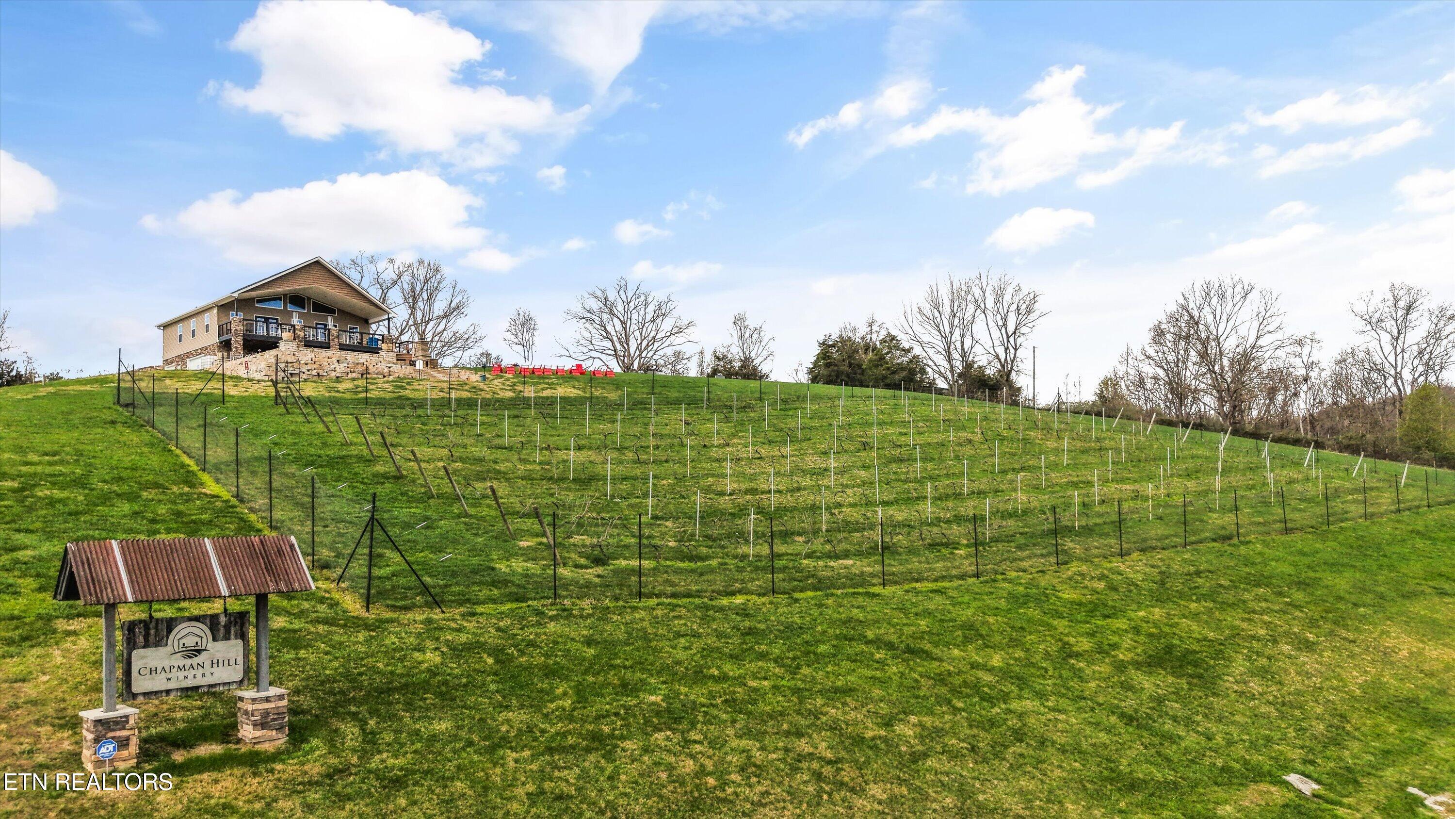 Norris Lake Real Estate - Image# 52