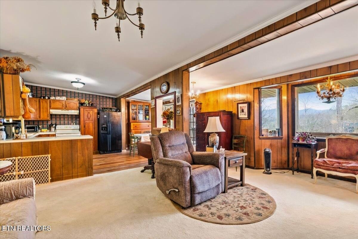 961 Indian River Boat Dock Rd, Jacksboro, TN - Norris Lake Real Estate - Image# 13