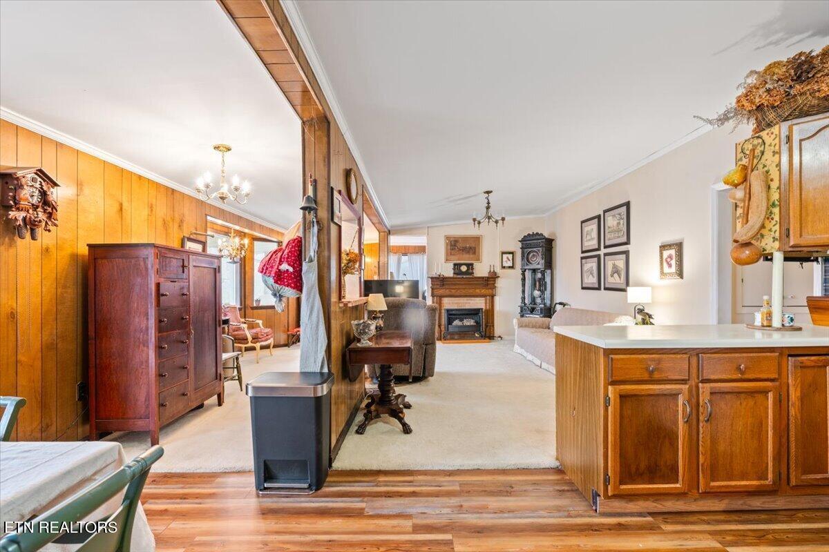 961 Indian River Boat Dock Rd, Jacksboro, TN - Norris Lake Real Estate - Image# 18