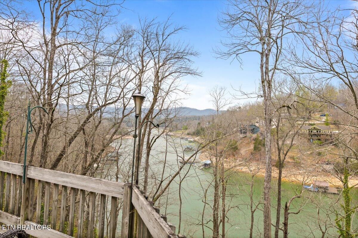 961 Indian River Boat Dock Rd, Jacksboro, TN - Norris Lake Real Estate - Image# 36