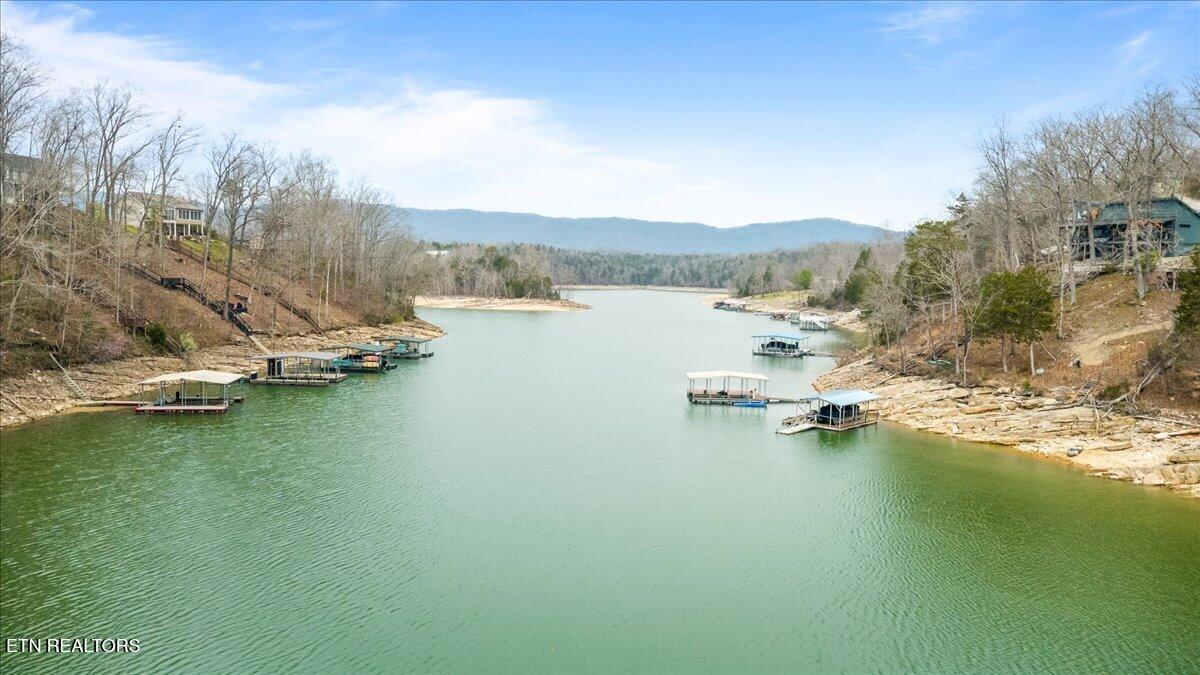 961 Indian River Boat Dock Rd, Jacksboro, TN - Norris Lake Real Estate - Image# 42