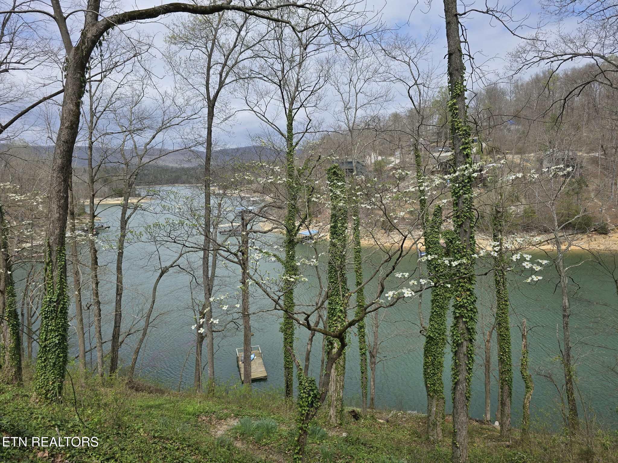 961 Indian River Boat Dock Rd, Jacksboro, TN - Norris Lake Real Estate - Image# 44