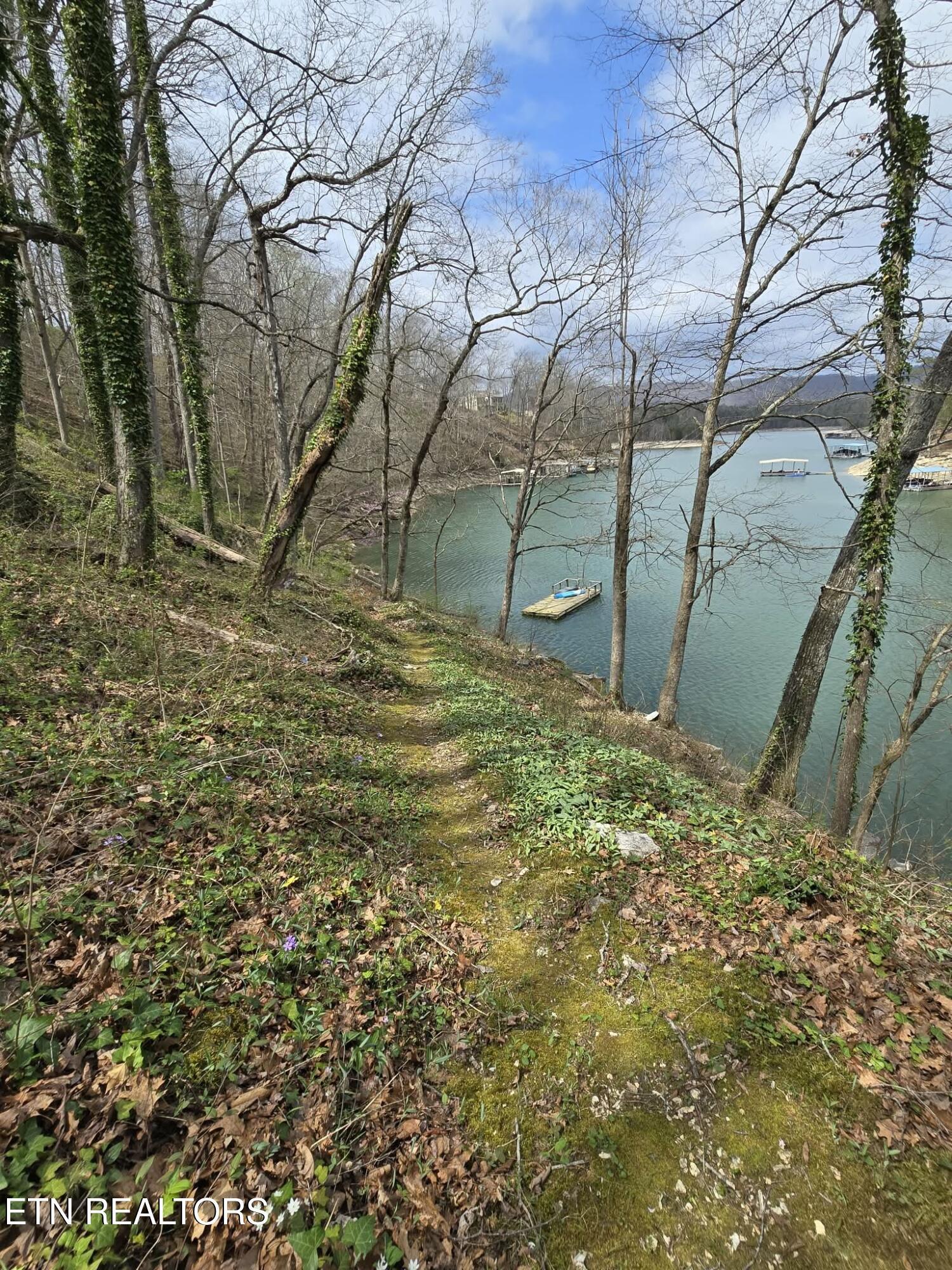 961 Indian River Boat Dock Rd, Jacksboro, TN - Norris Lake Real Estate - Image# 45