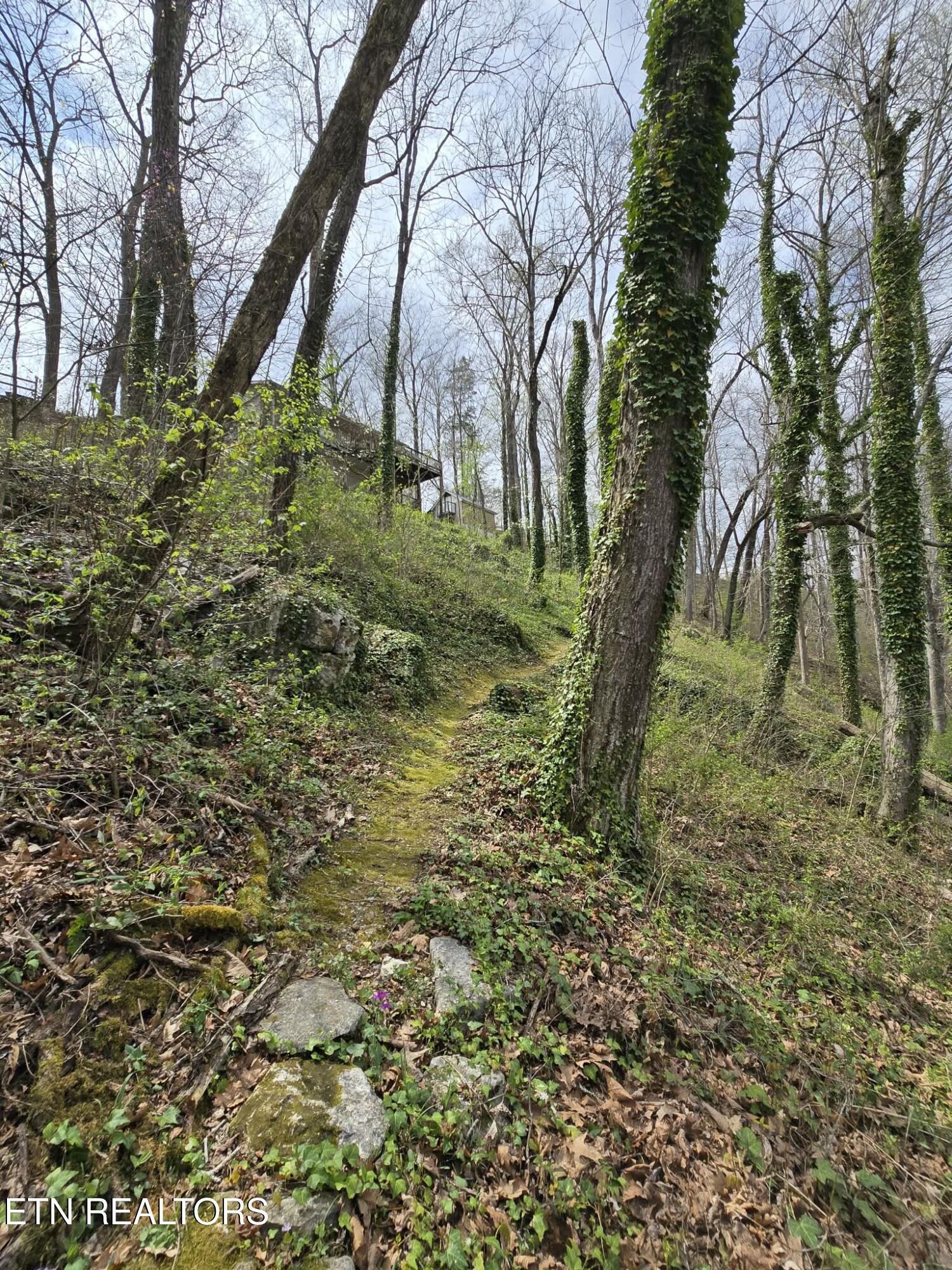 961 Indian River Boat Dock Rd, Jacksboro, TN - Norris Lake Real Estate - Image# 46