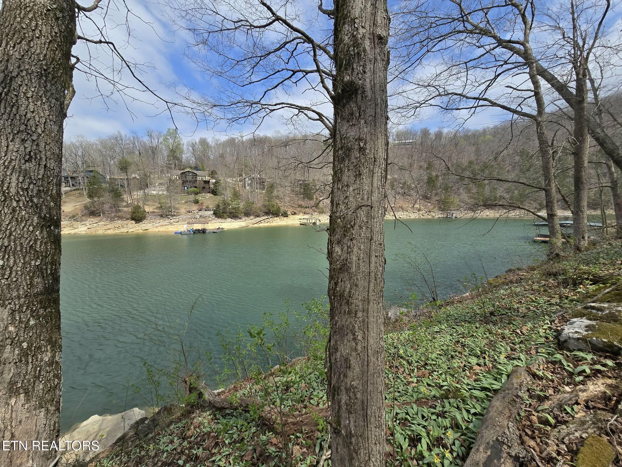 961 Indian River Boat Dock Rd, Jacksboro, TN - Norris Lake Real Estate - Image# 47