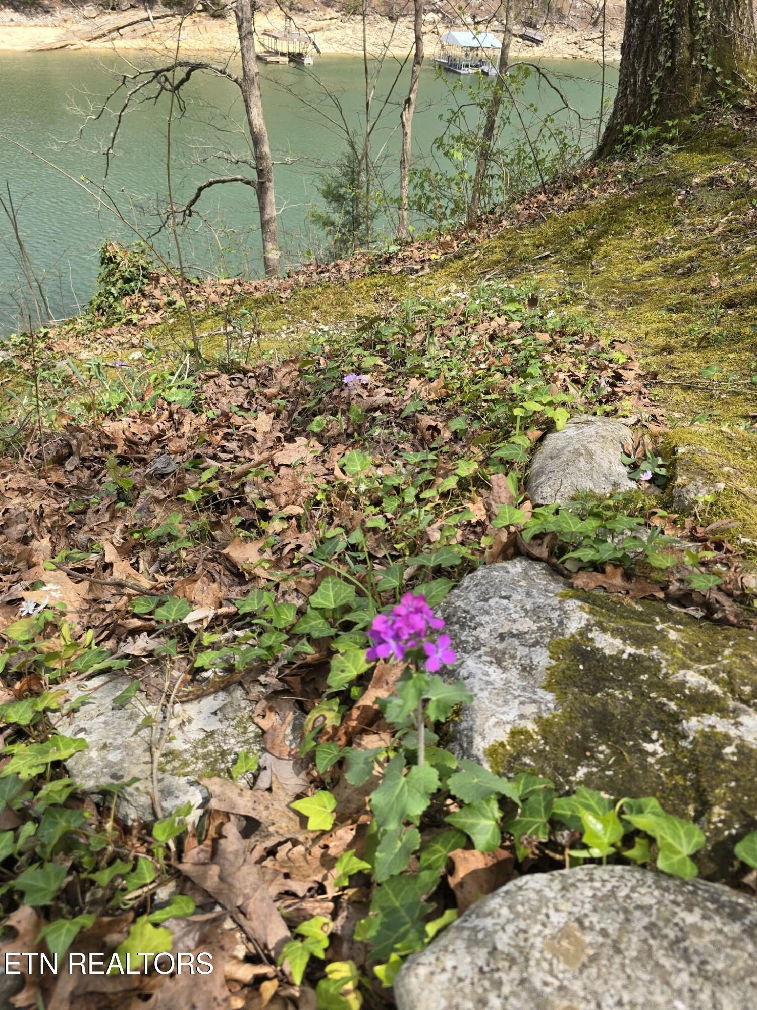 961 Indian River Boat Dock Rd, Jacksboro, TN - Norris Lake Real Estate - Image# 49