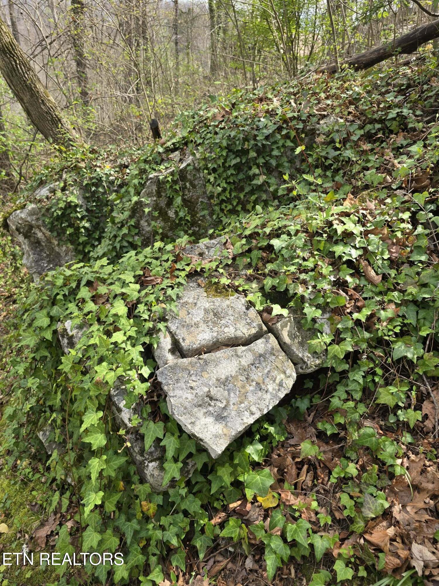 961 Indian River Boat Dock Rd, Jacksboro, TN - Norris Lake Real Estate - Image# 50