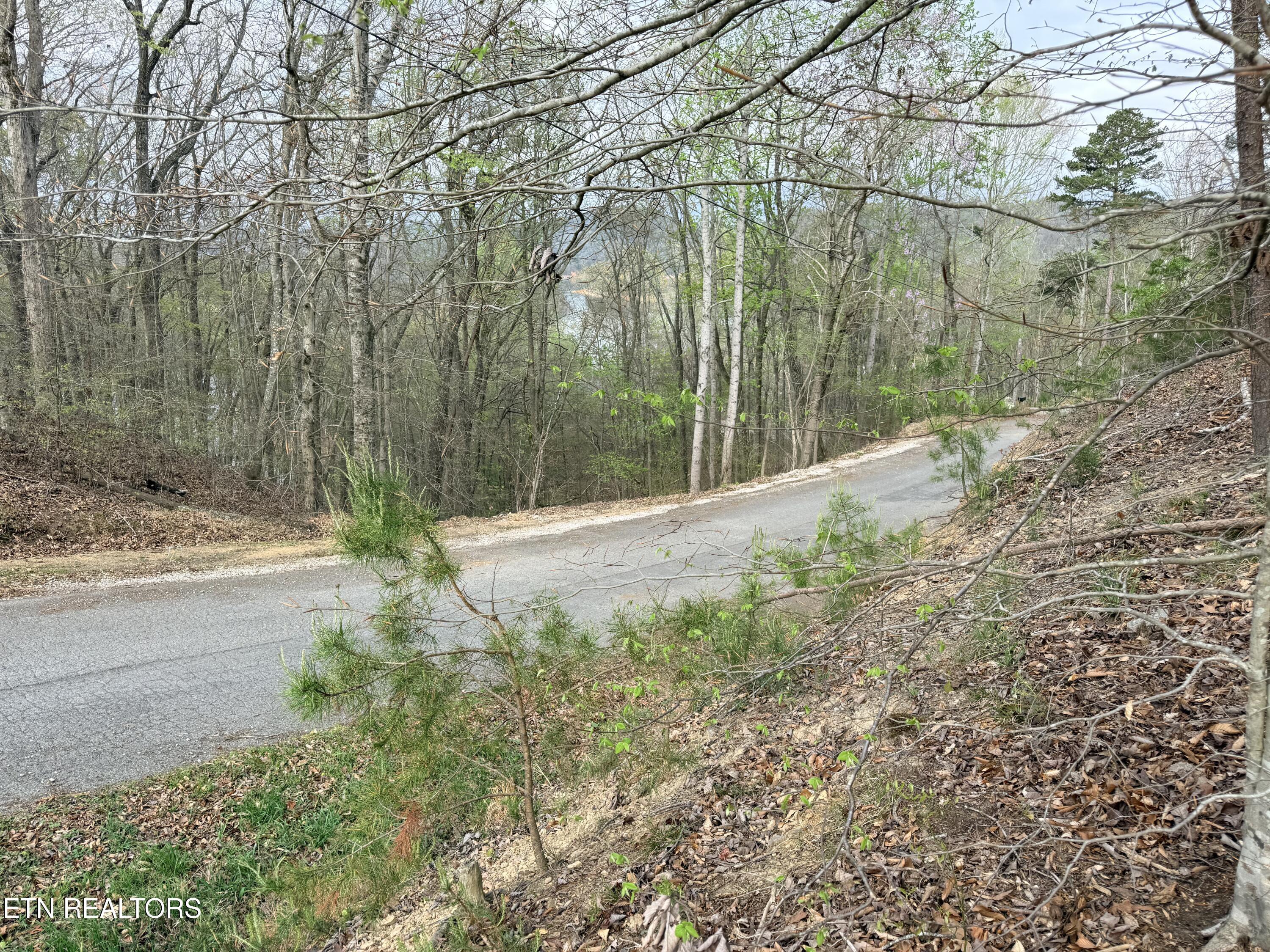 Lot 77 Grandpas Ridge, Sharps Chapel, TN - Norris Lake Real Estate - Image# 4