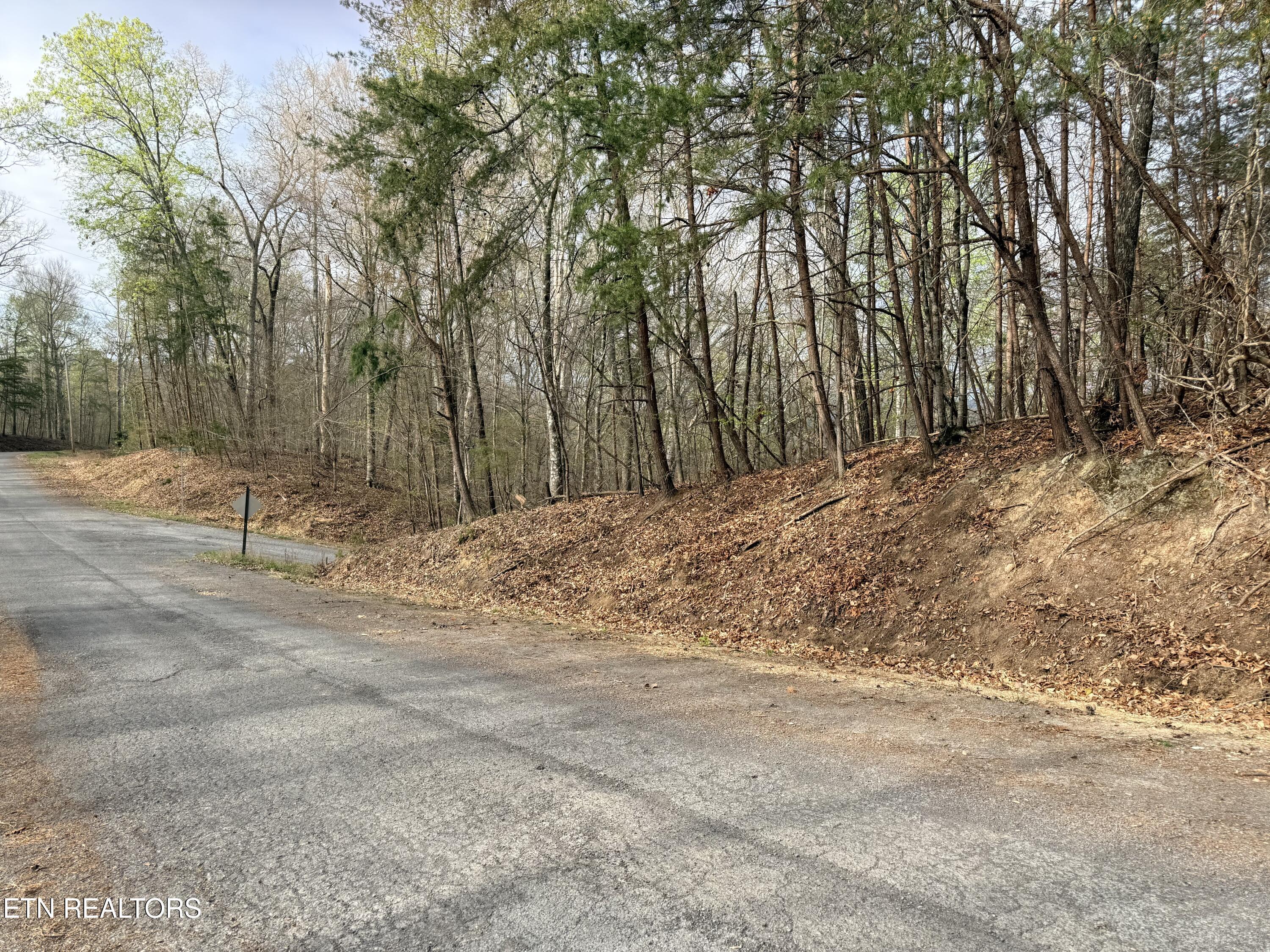 Lot 77 Grandpas Ridge, Sharps Chapel, TN - Norris Lake Real Estate - Image# 3