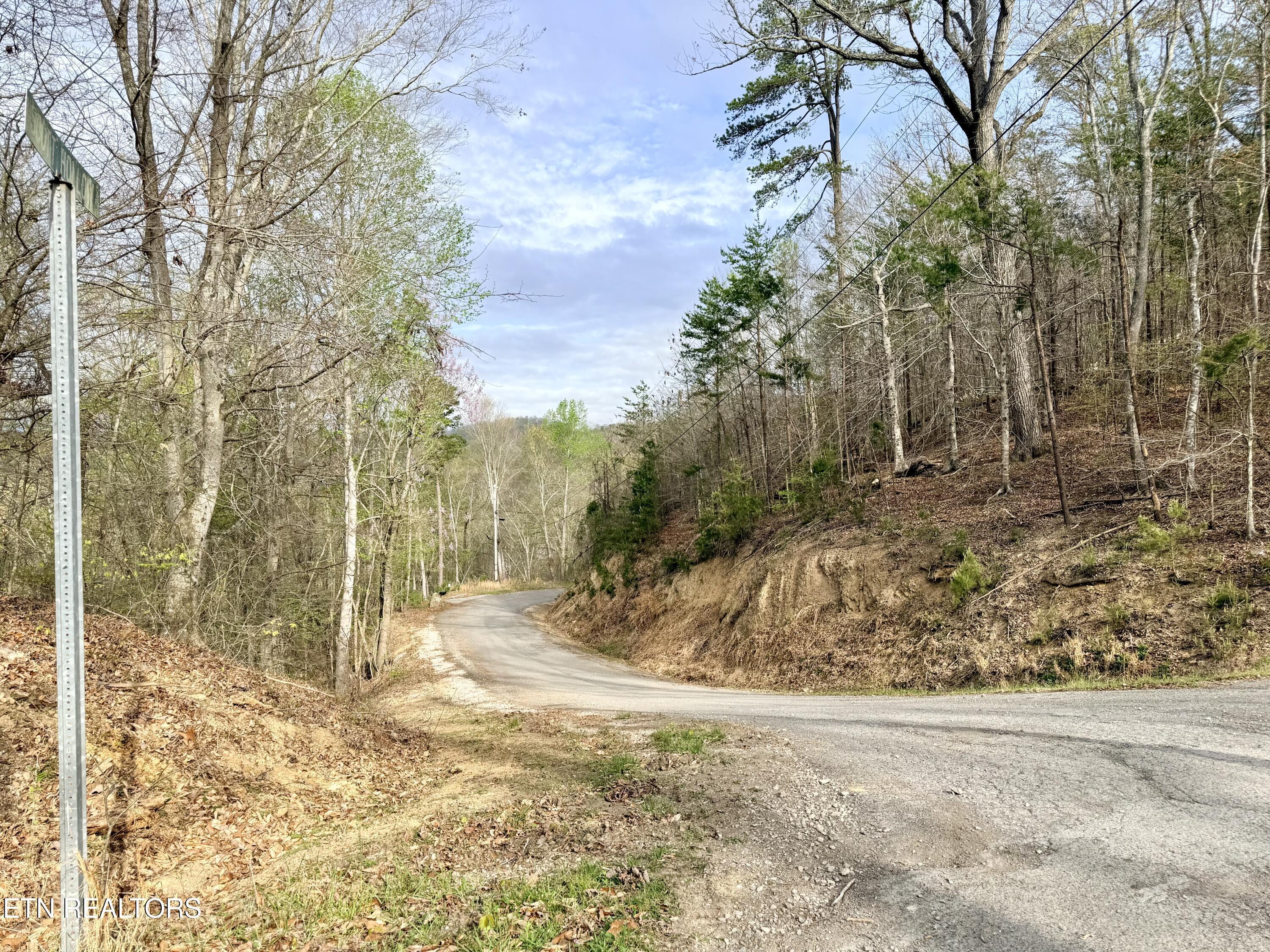 Lot 77 Grandpas Ridge, Sharps Chapel, TN - Norris Lake Real Estate - Image# 8