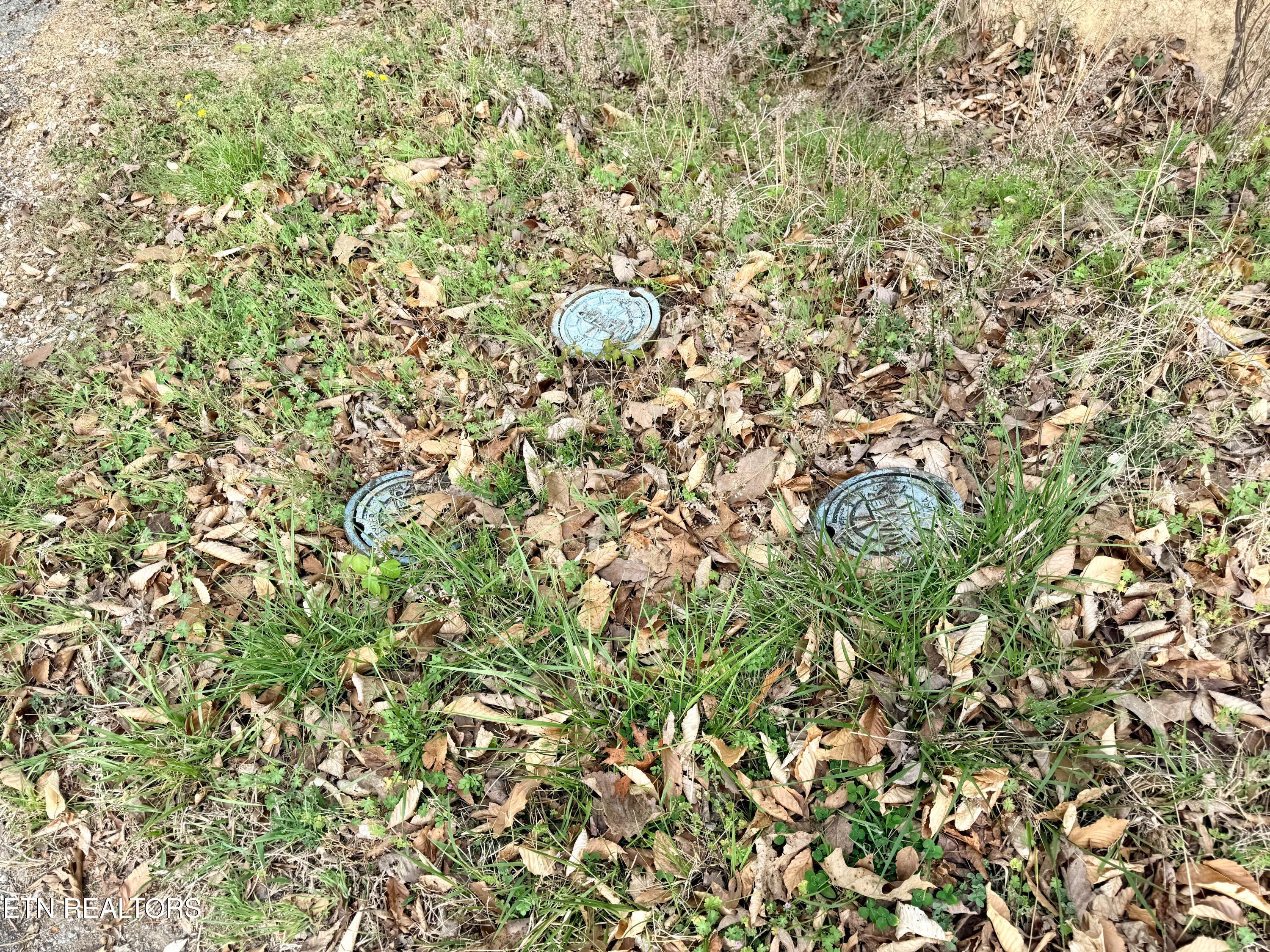 Lot 77 Grandpas Ridge, Sharps Chapel, TN - Norris Lake Real Estate - Image# 9