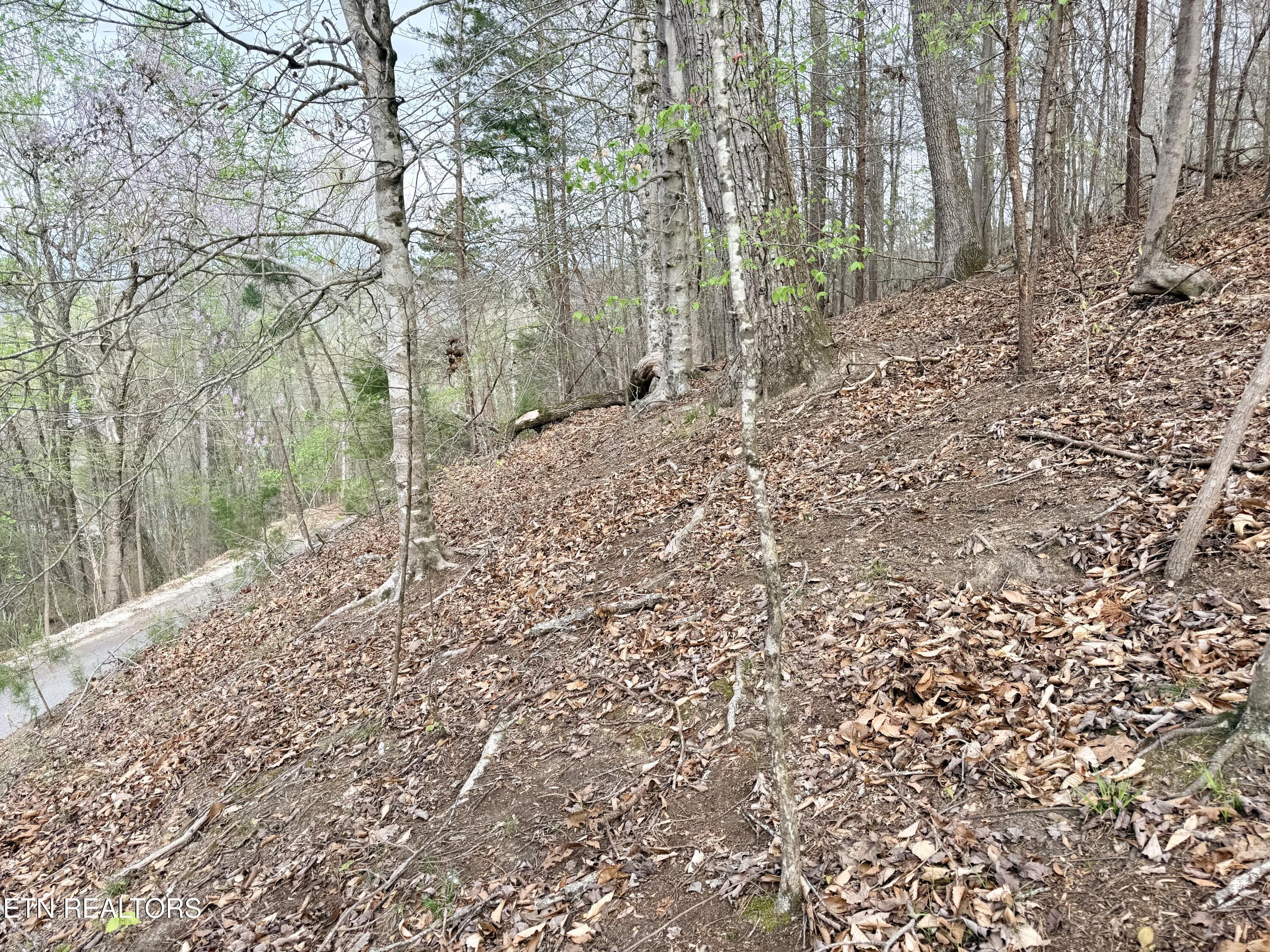 Lot 77 Grandpas Ridge, Sharps Chapel, TN - Norris Lake Real Estate - Image# 10