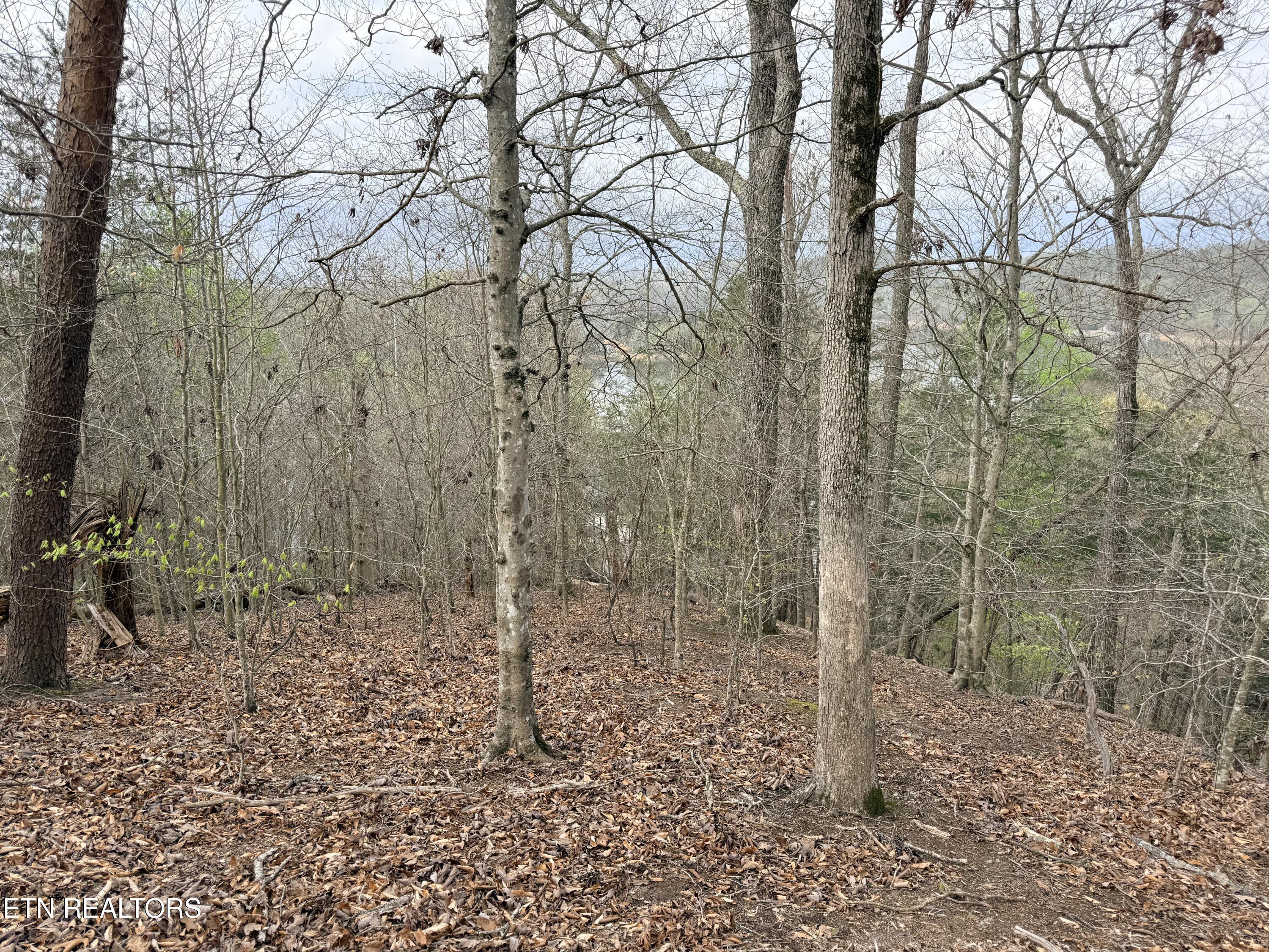 Lot 77 Grandpas Ridge, Sharps Chapel, TN - Norris Lake Real Estate - Image# 15