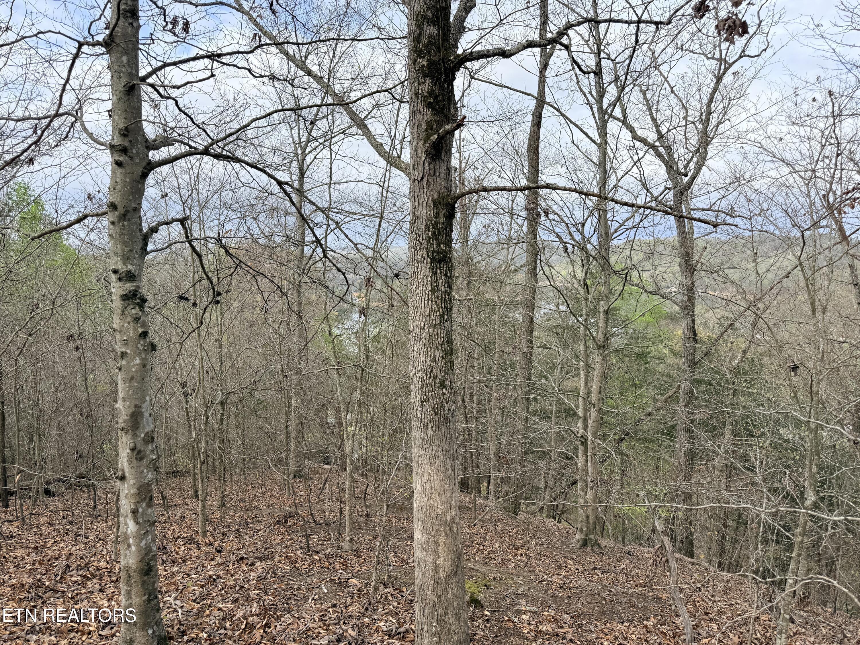 Lot 77 Grandpas Ridge, Sharps Chapel, TN - Norris Lake Real Estate - Image# 19
