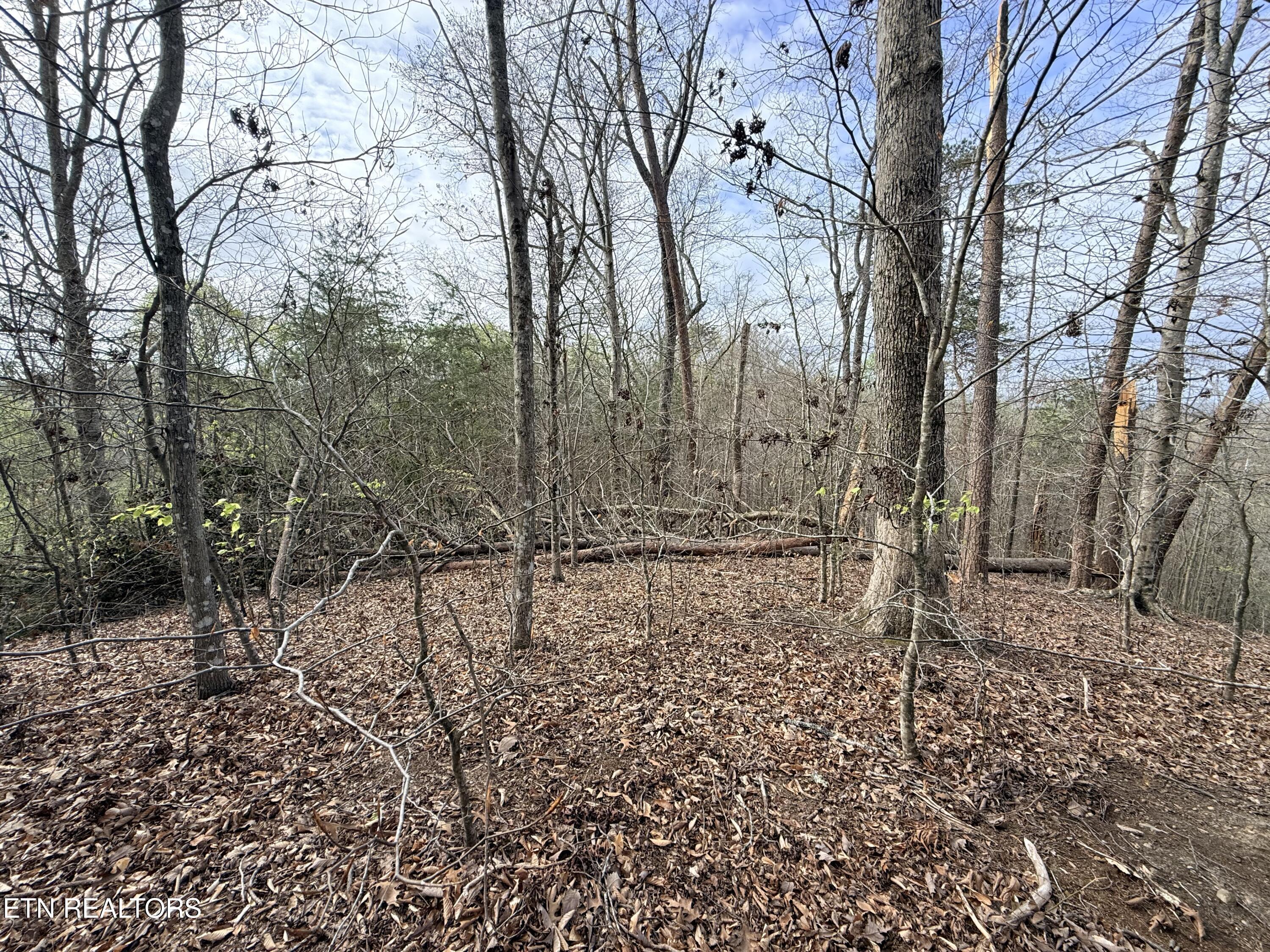 Lot 77 Grandpas Ridge, Sharps Chapel, TN - Norris Lake Real Estate - Image# 21