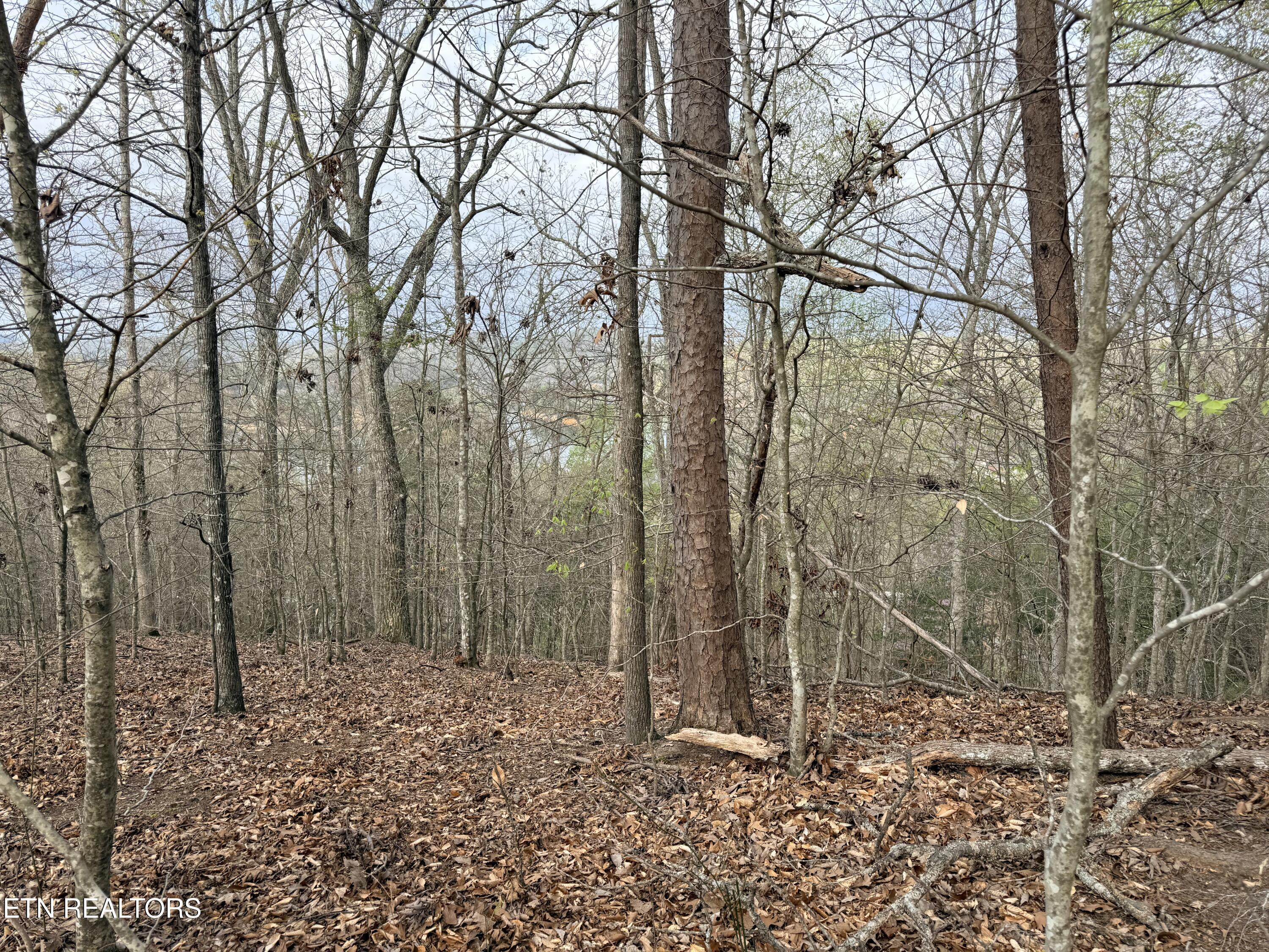 Lot 77 Grandpas Ridge, Sharps Chapel, TN - Norris Lake Real Estate - Image# 22