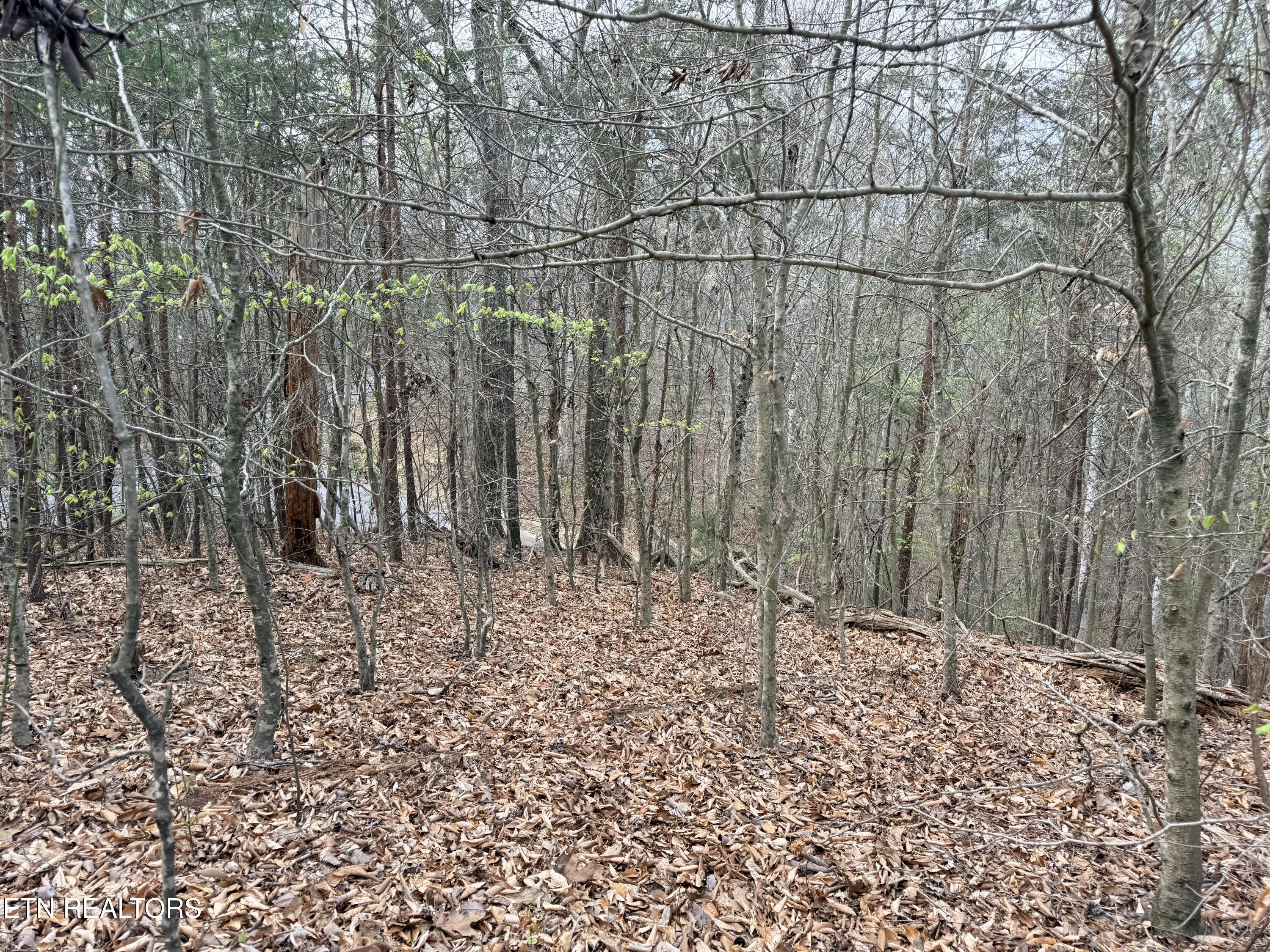 Lot 77 Grandpas Ridge, Sharps Chapel, TN - Norris Lake Real Estate - Image# 23