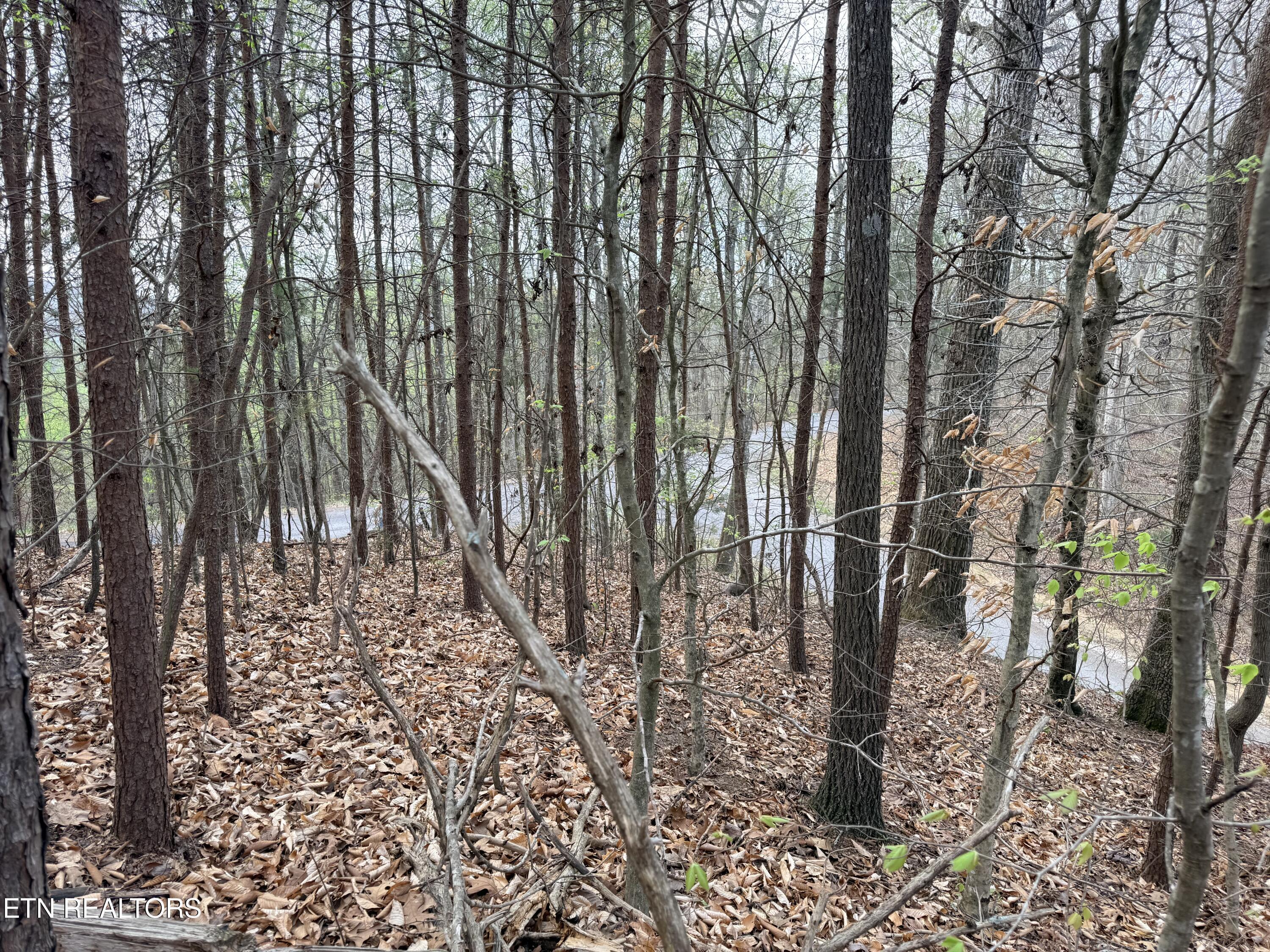 Lot 77 Grandpas Ridge, Sharps Chapel, TN - Norris Lake Real Estate - Image# 25