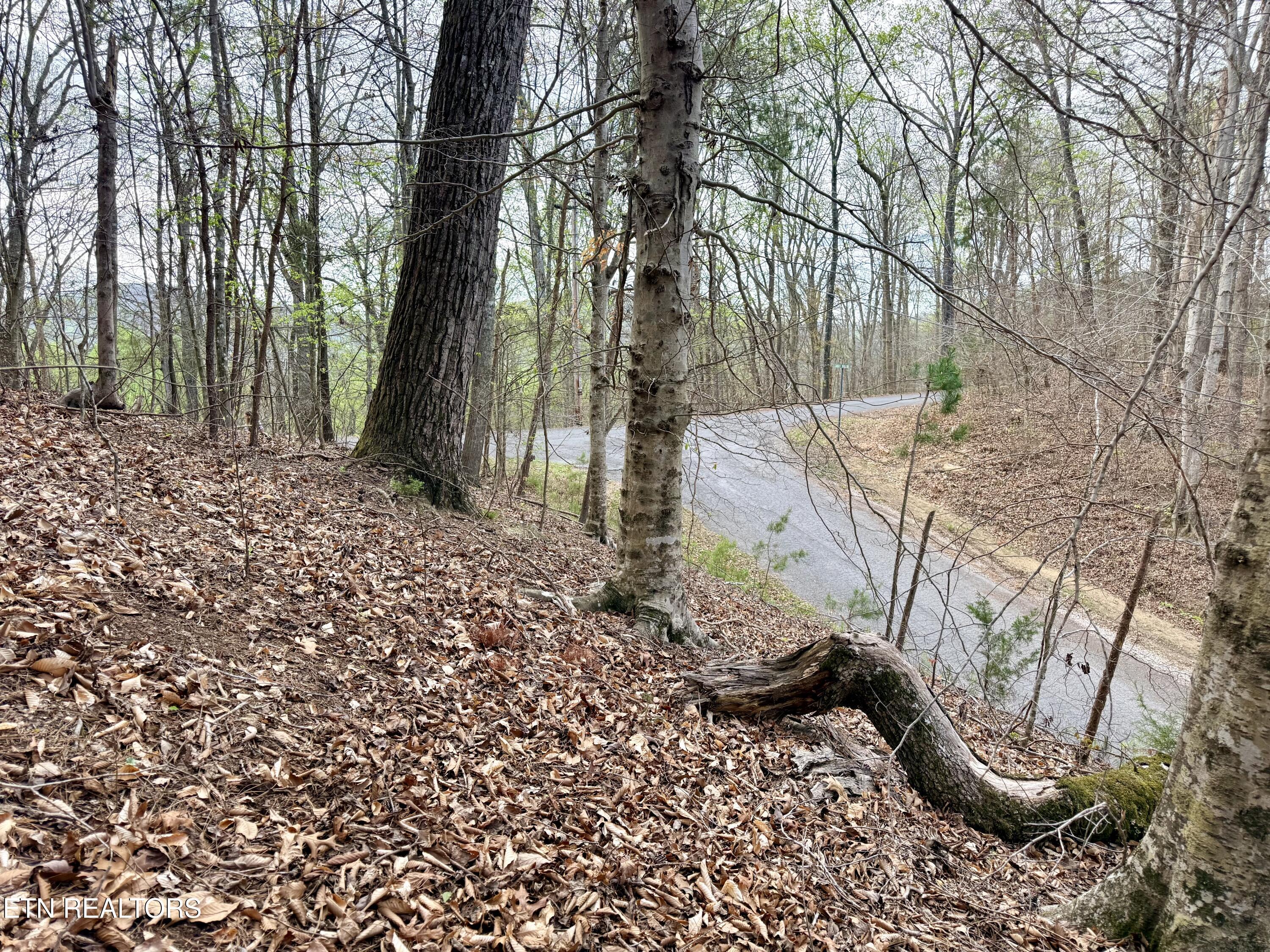 Lot 77 Grandpas Ridge, Sharps Chapel, TN - Norris Lake Real Estate - Image# 27