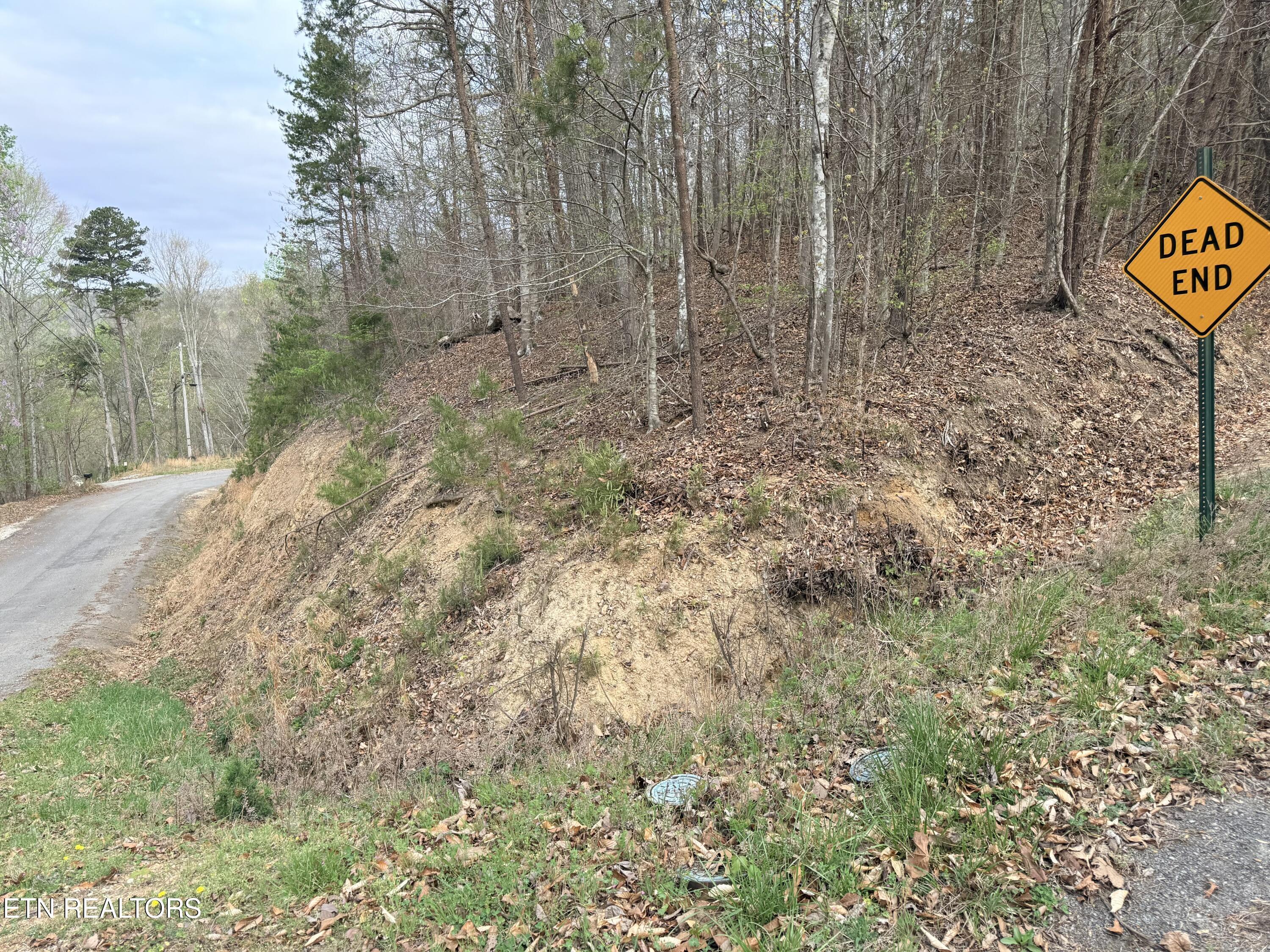 Lot 77 Grandpas Ridge, Sharps Chapel, TN - Norris Lake Real Estate - Image# 30