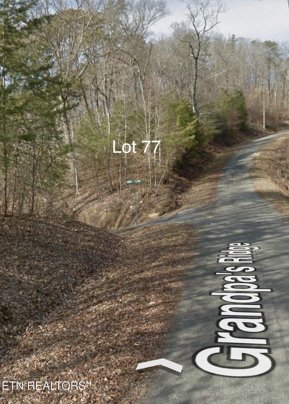 Lot 77 Grandpas Ridge, Sharps Chapel, TN - Norris Lake Real Estate - Image# 32