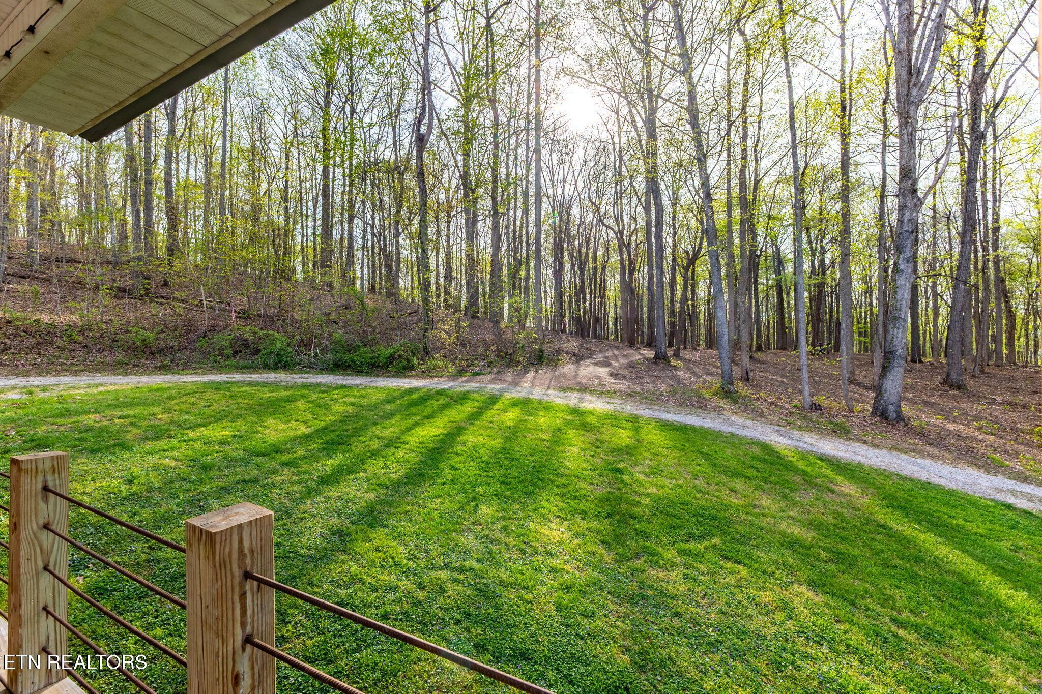 Norris Lake Real Estate - Image# 50