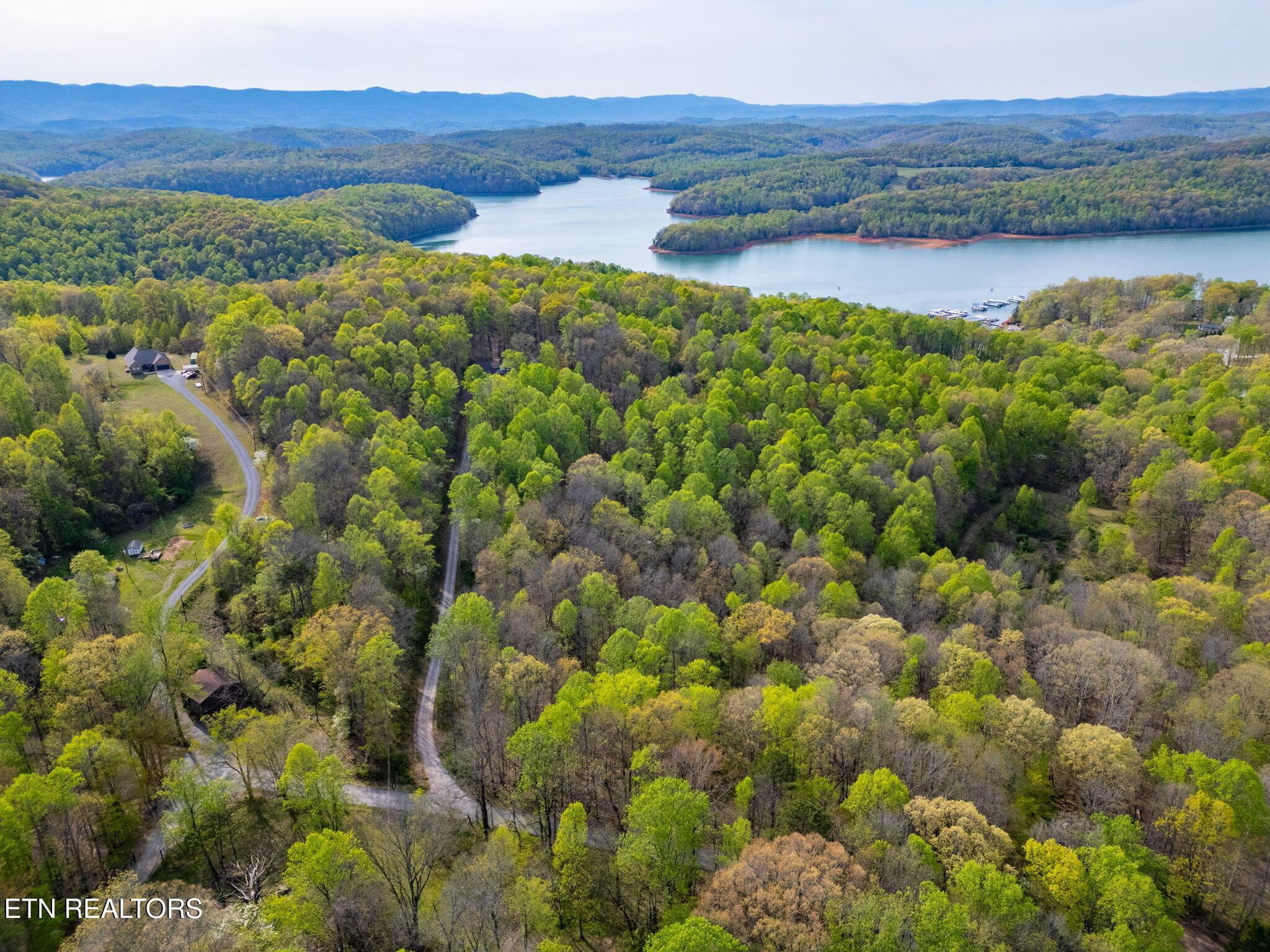 Norris Lake Real Estate - Image# 56