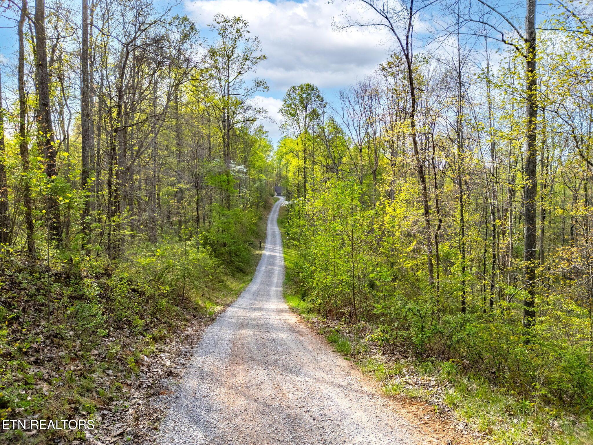 Norris Lake Real Estate - Image# 57