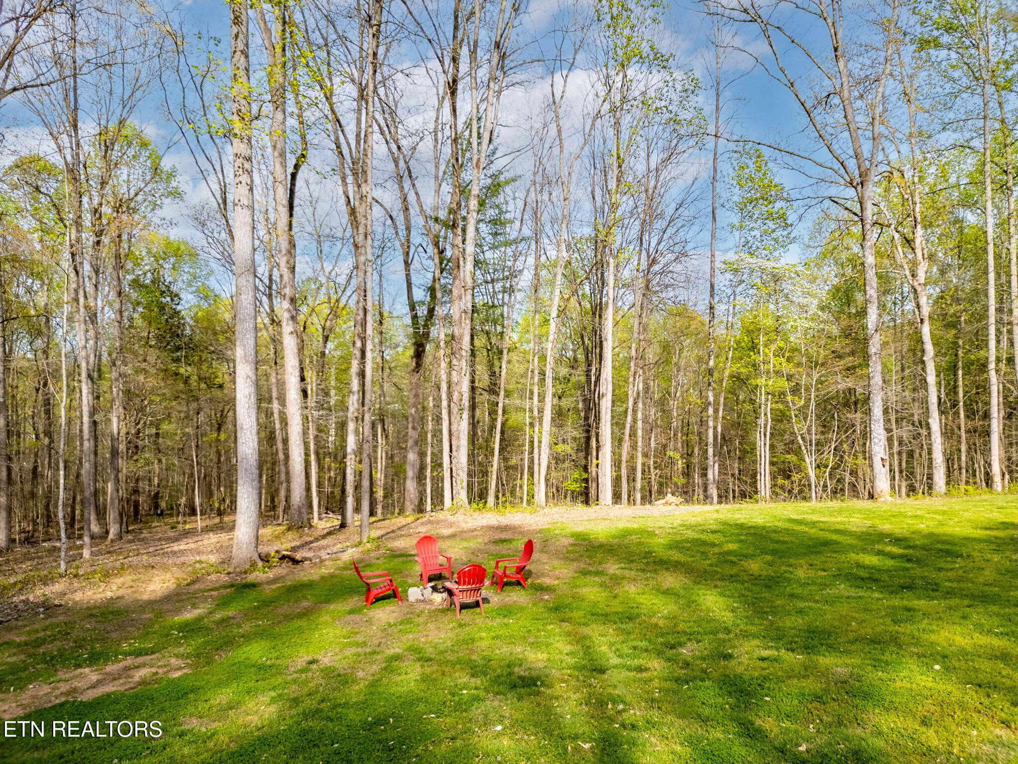 Norris Lake Real Estate - Image# 54