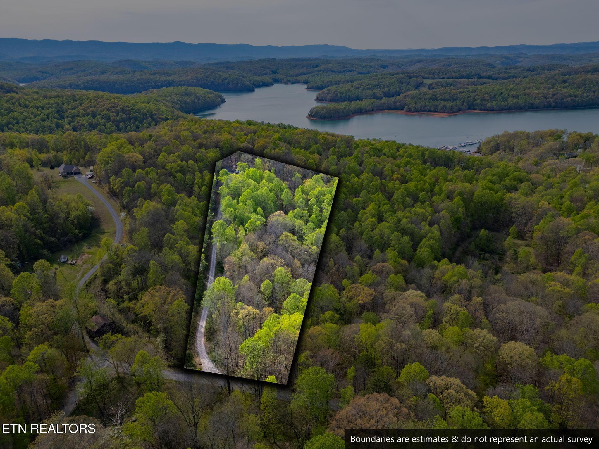 Norris Lake Real Estate - Image# 3