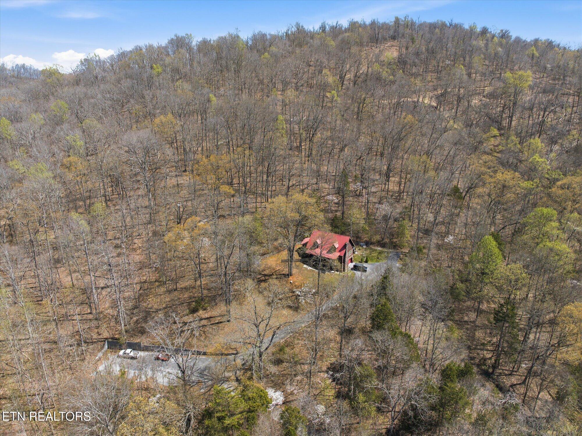 Norris Lake Real Estate - Image# 48