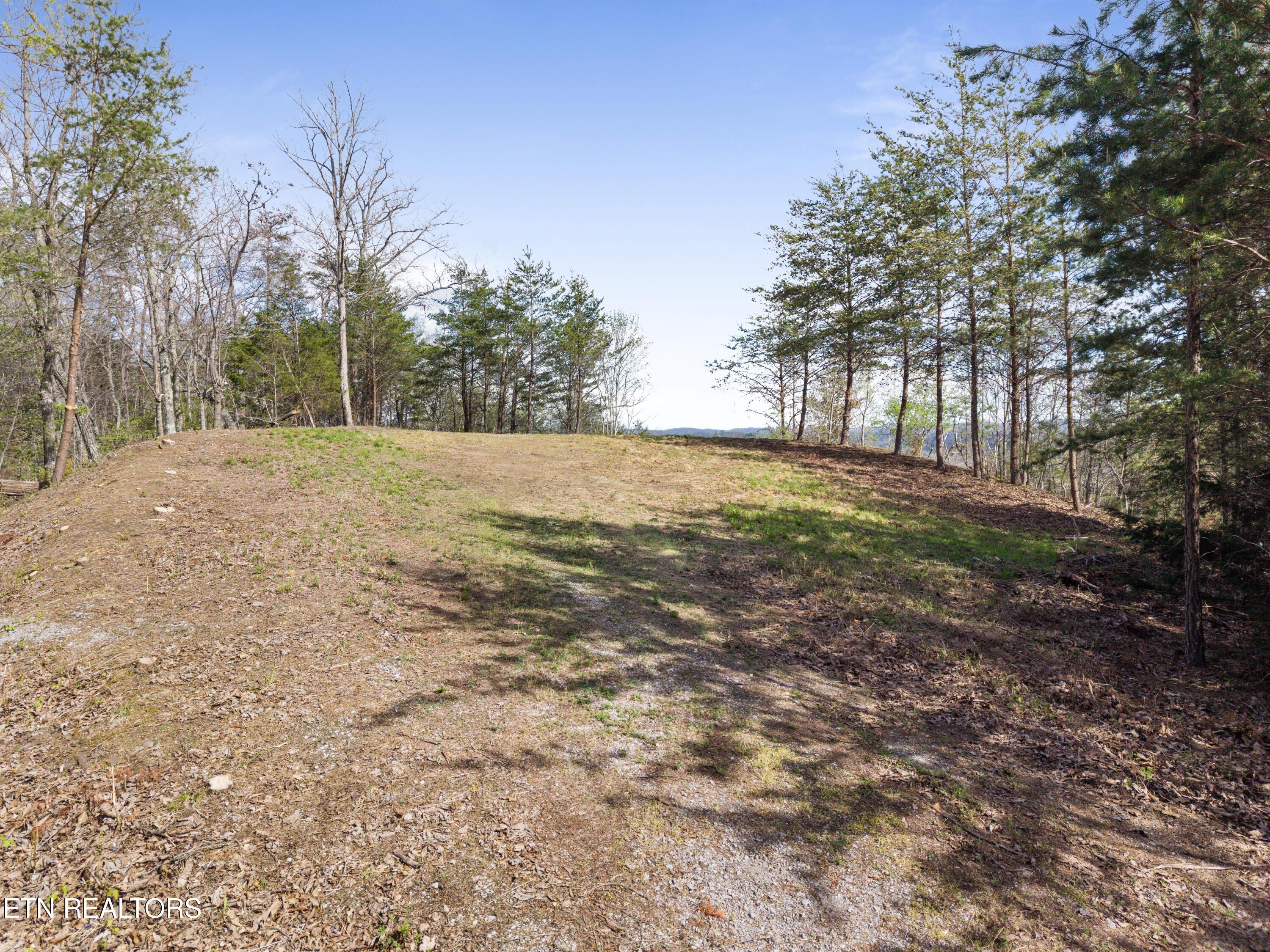 350 Bluff View Rd, New Tazewell, TN - Norris Lake Real Estate - Image# 3