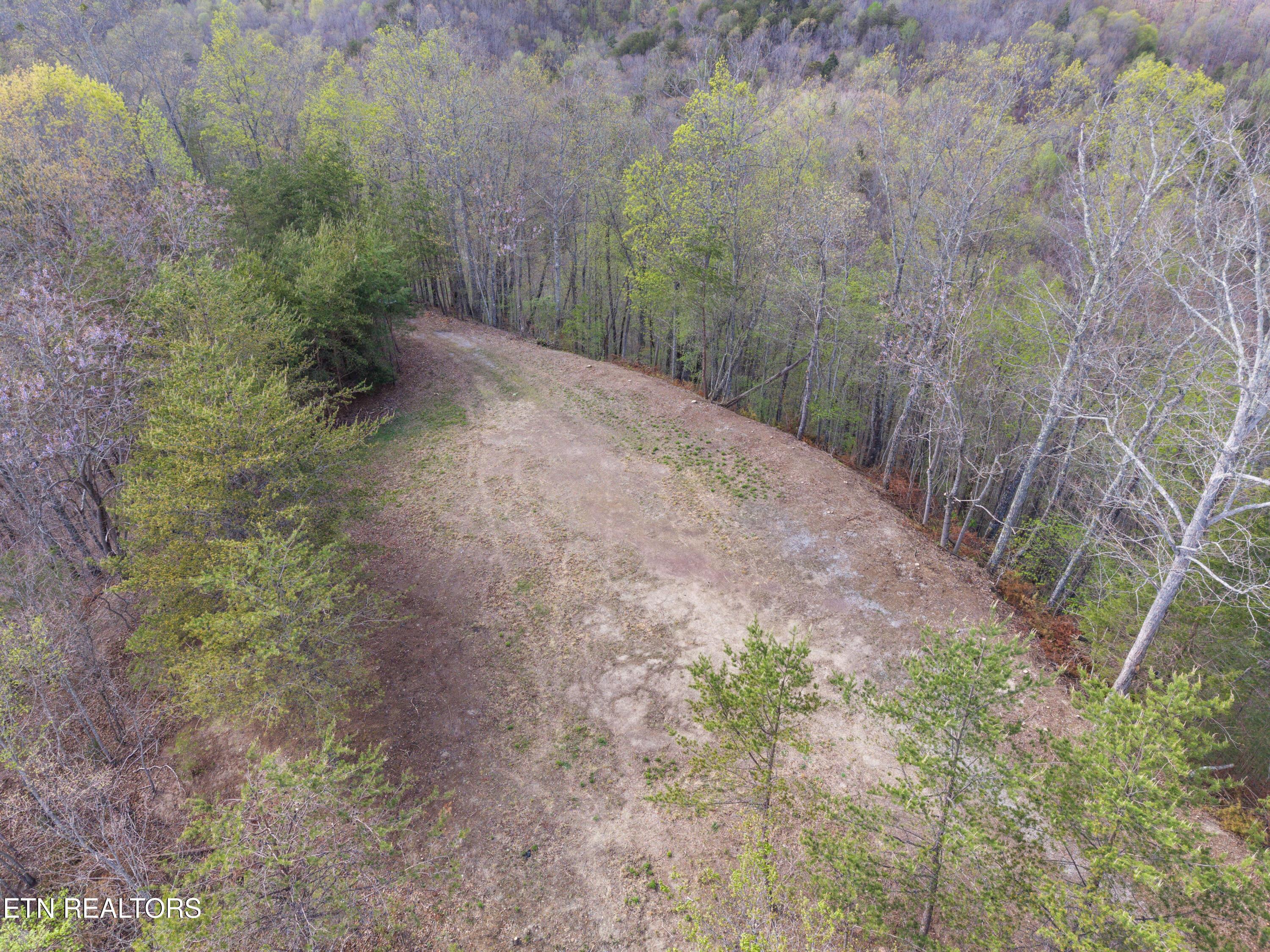350 Bluff View Rd, New Tazewell, TN - Norris Lake Real Estate - Image# 4