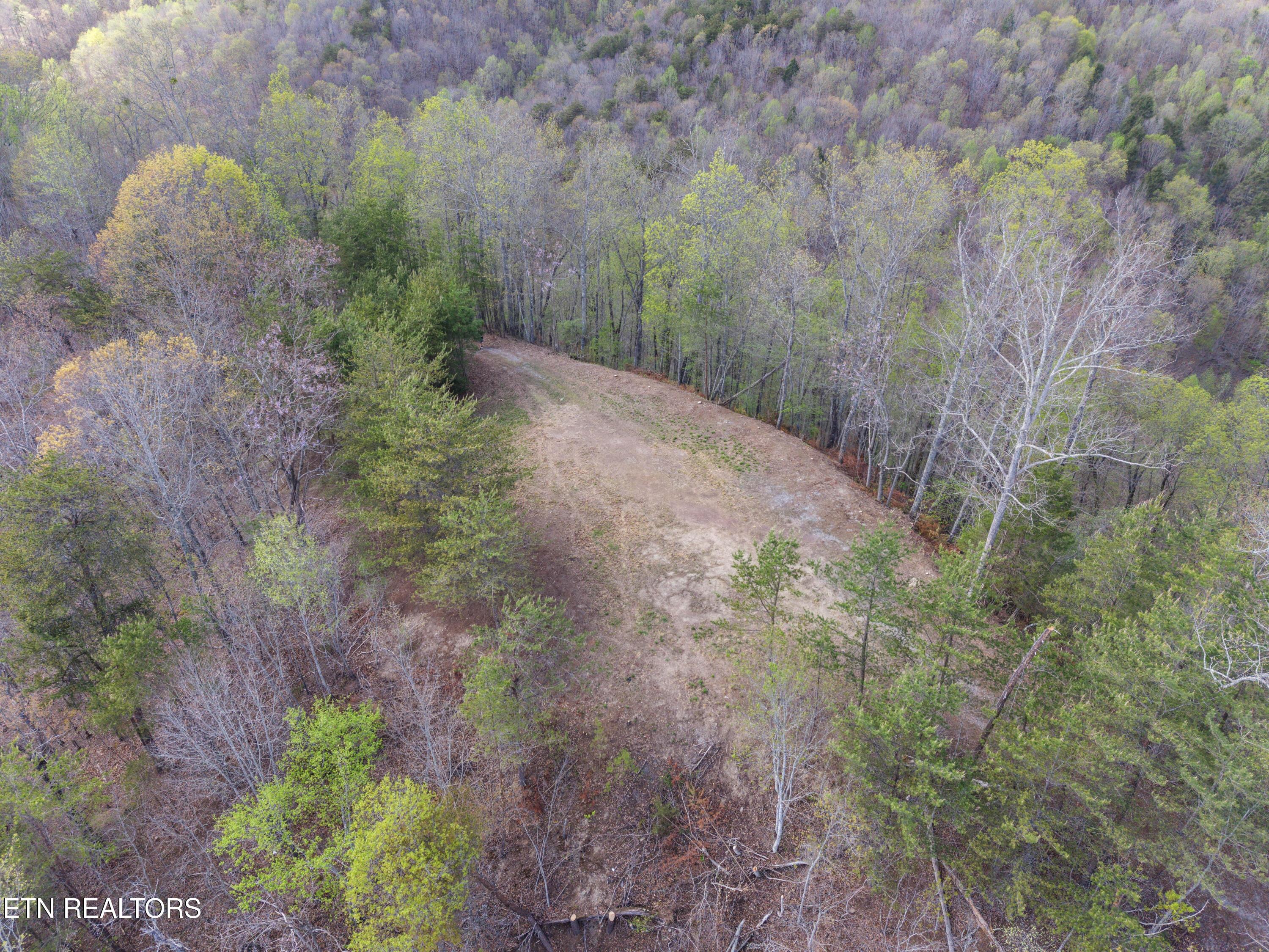 350 Bluff View Rd, New Tazewell, TN - Norris Lake Real Estate - Image# 5