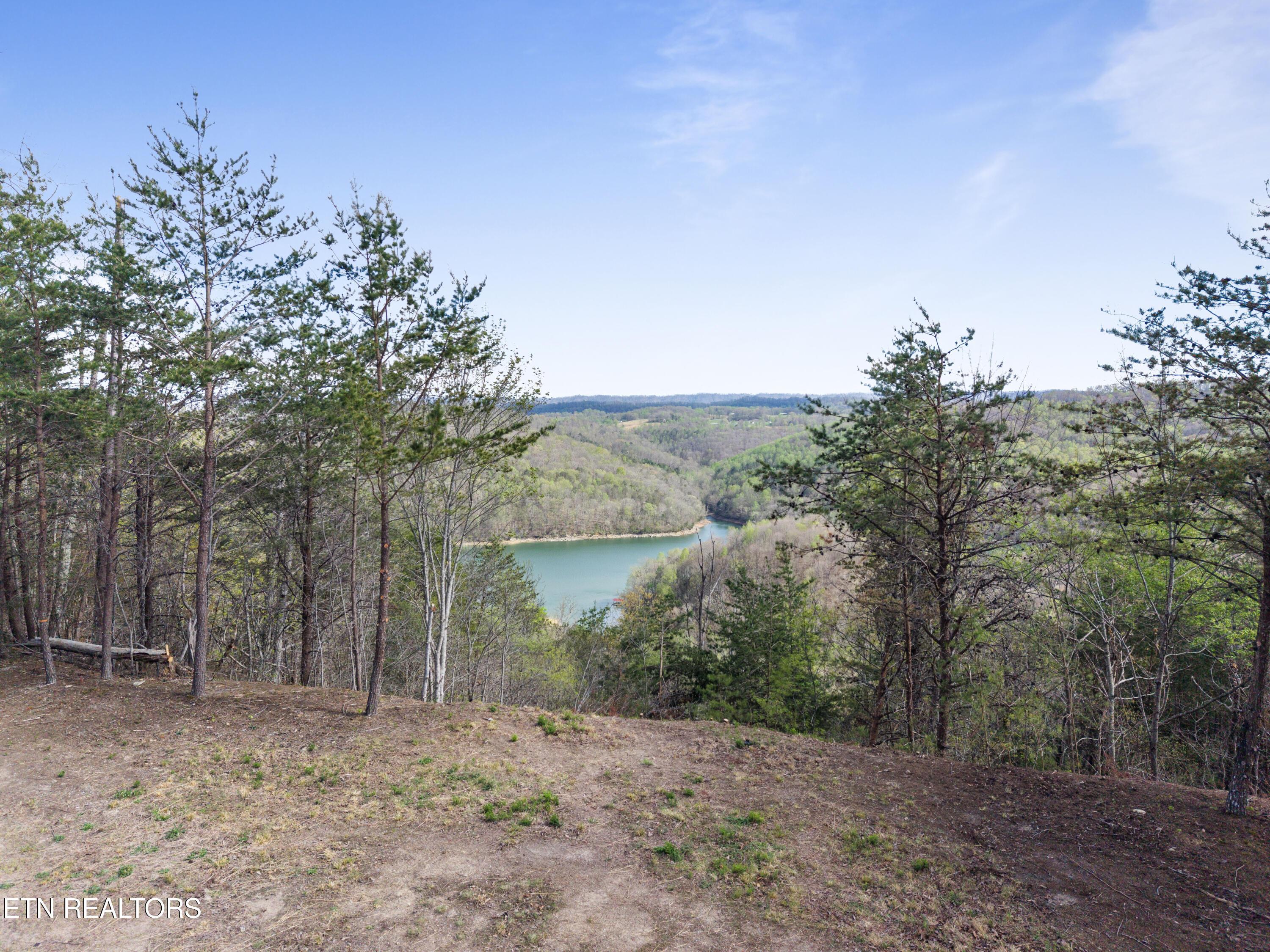 350 Bluff View Rd, New Tazewell, TN - Norris Lake Real Estate - Image# 10