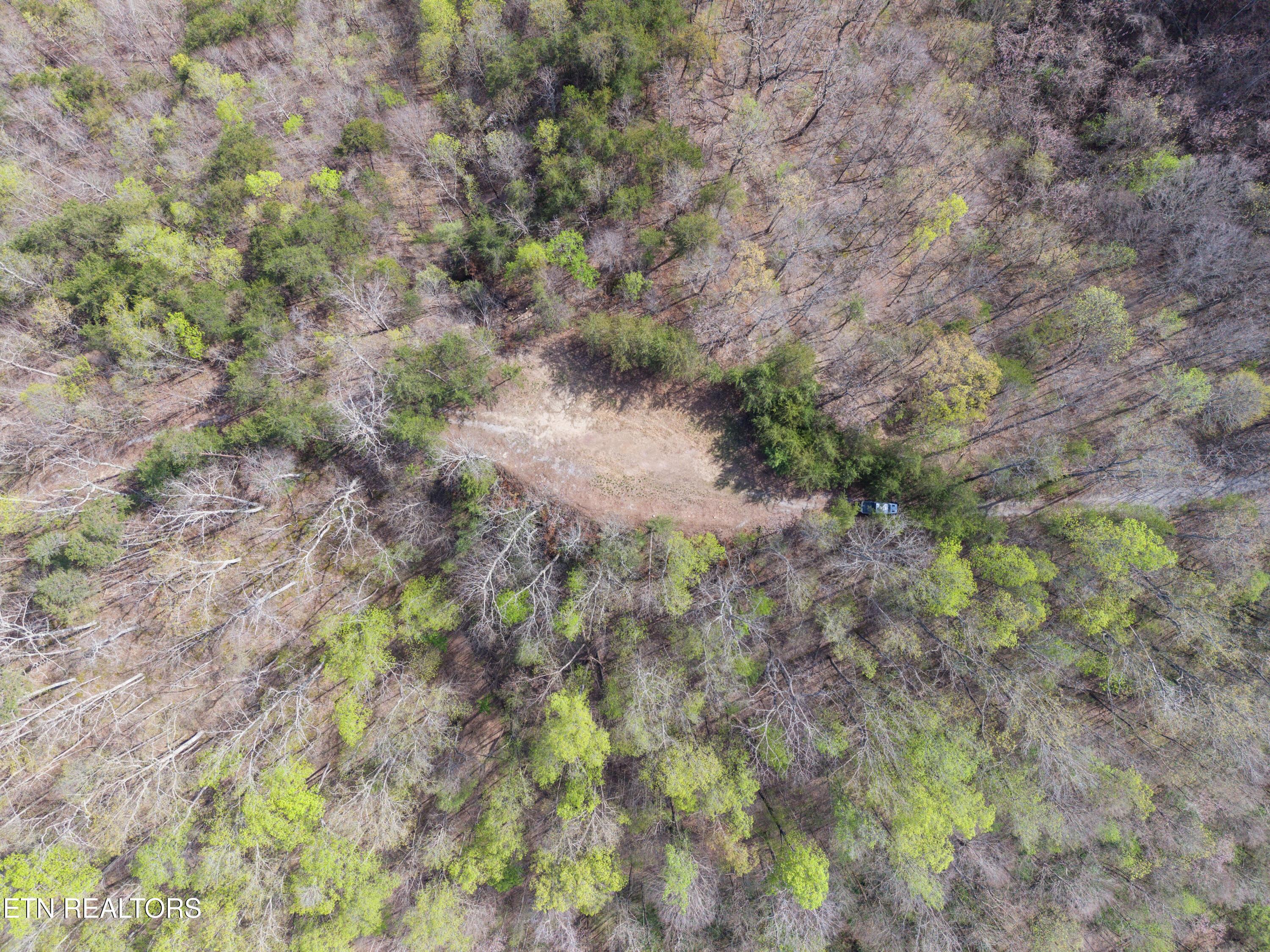 350 Bluff View Rd, New Tazewell, TN - Norris Lake Real Estate - Image# 8