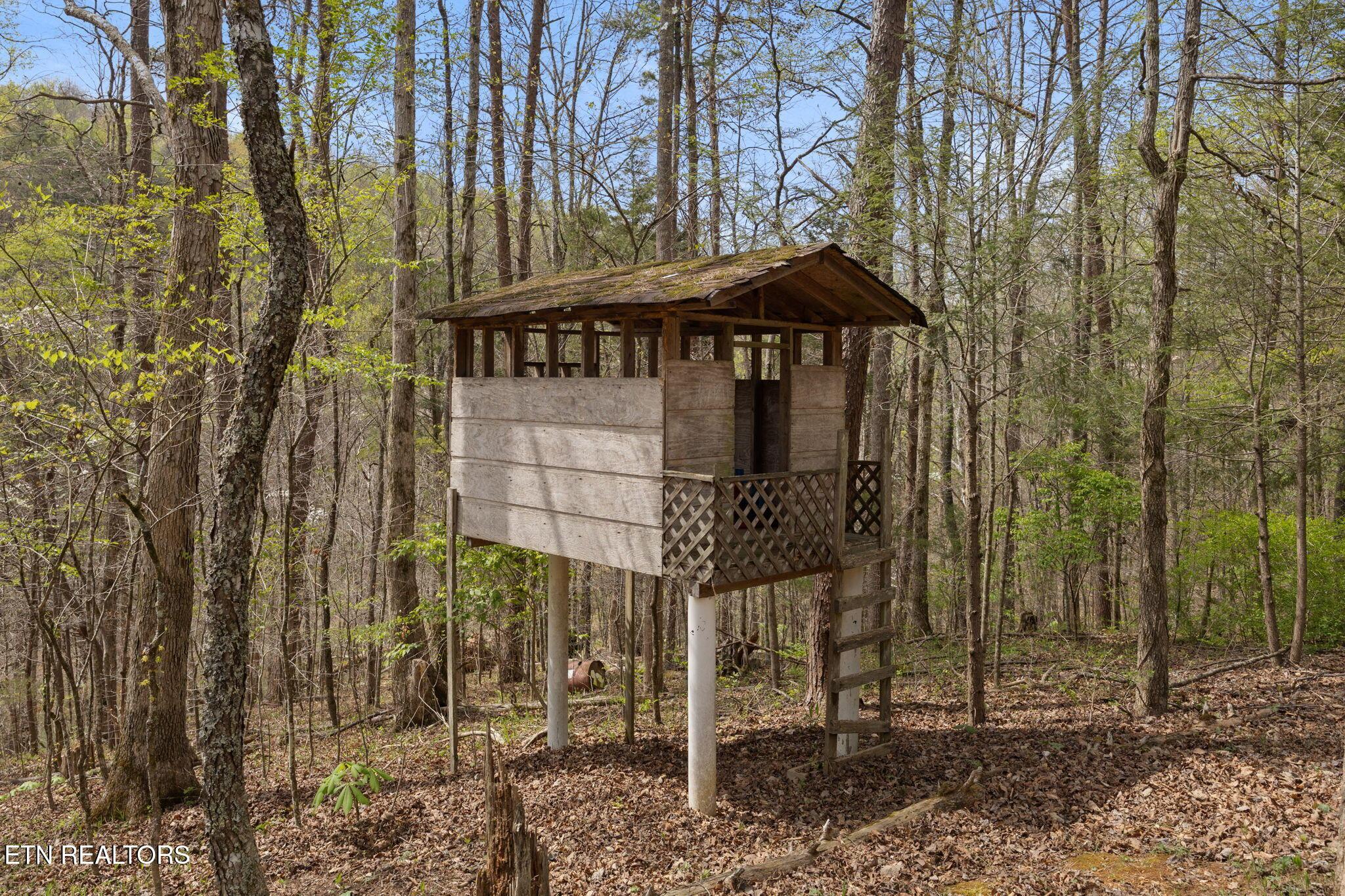 258 Marina Lane, Lafollette, TN - Norris Lake Real Estate - Image# 38