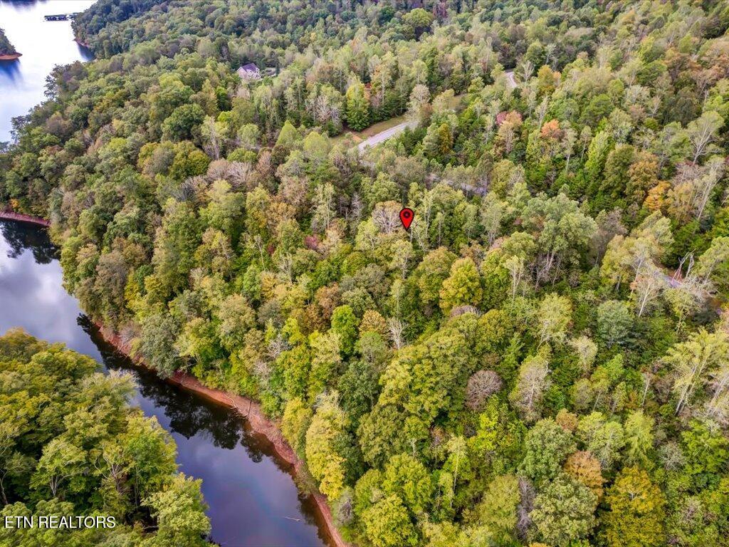 Lot 410 Mystic Star Drive, New Tazewell, TN - Norris Lake Real Estate - Image# 8