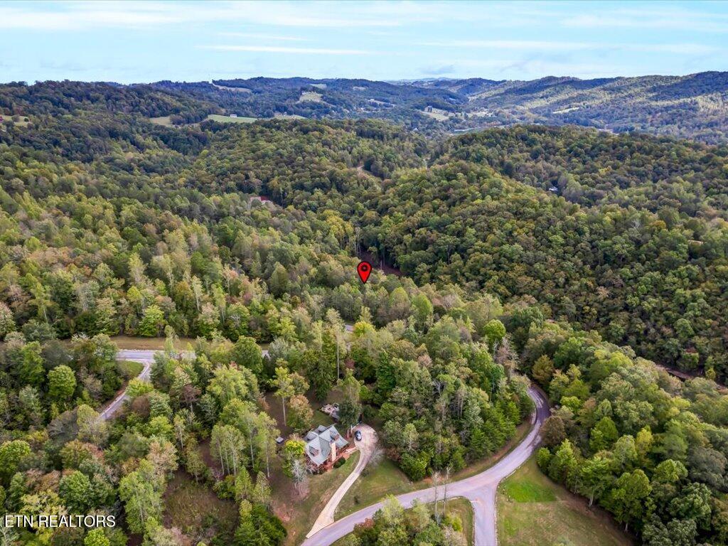 Lot 410 Mystic Star Drive, New Tazewell, TN - Norris Lake Real Estate - Image# 10