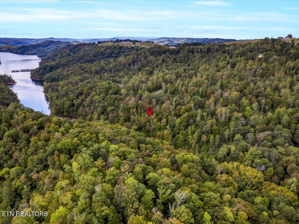 Lot 410 Mystic Star Drive, New Tazewell, TN - Norris Lake Real Estate - Image# 13