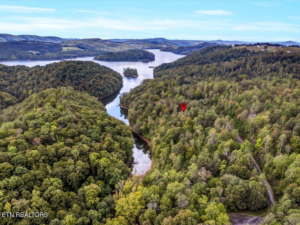 Lot 410 Mystic Star Drive, New Tazewell, TN - Norris Lake Real Estate - Image# 14