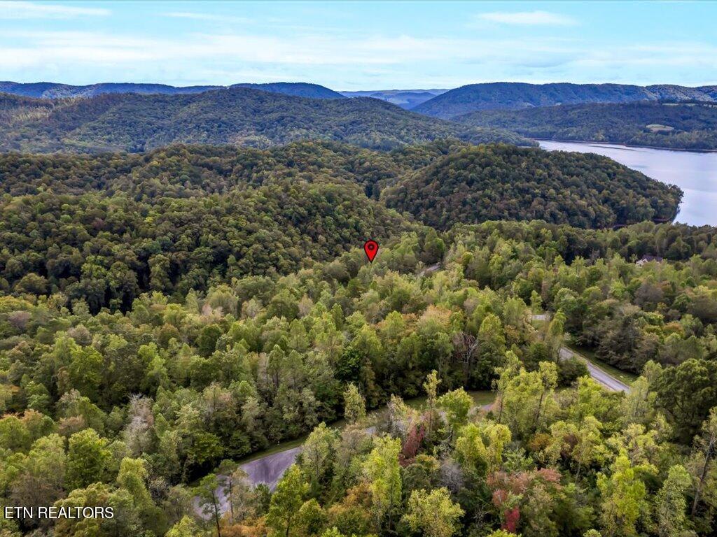 Lot 410 Mystic Star Drive, New Tazewell, TN - Norris Lake Real Estate - Image# 16