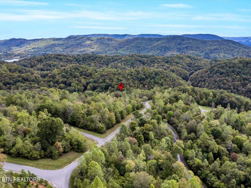 Lot 410 Mystic Star Drive, New Tazewell, TN - Norris Lake Real Estate - Image# 17