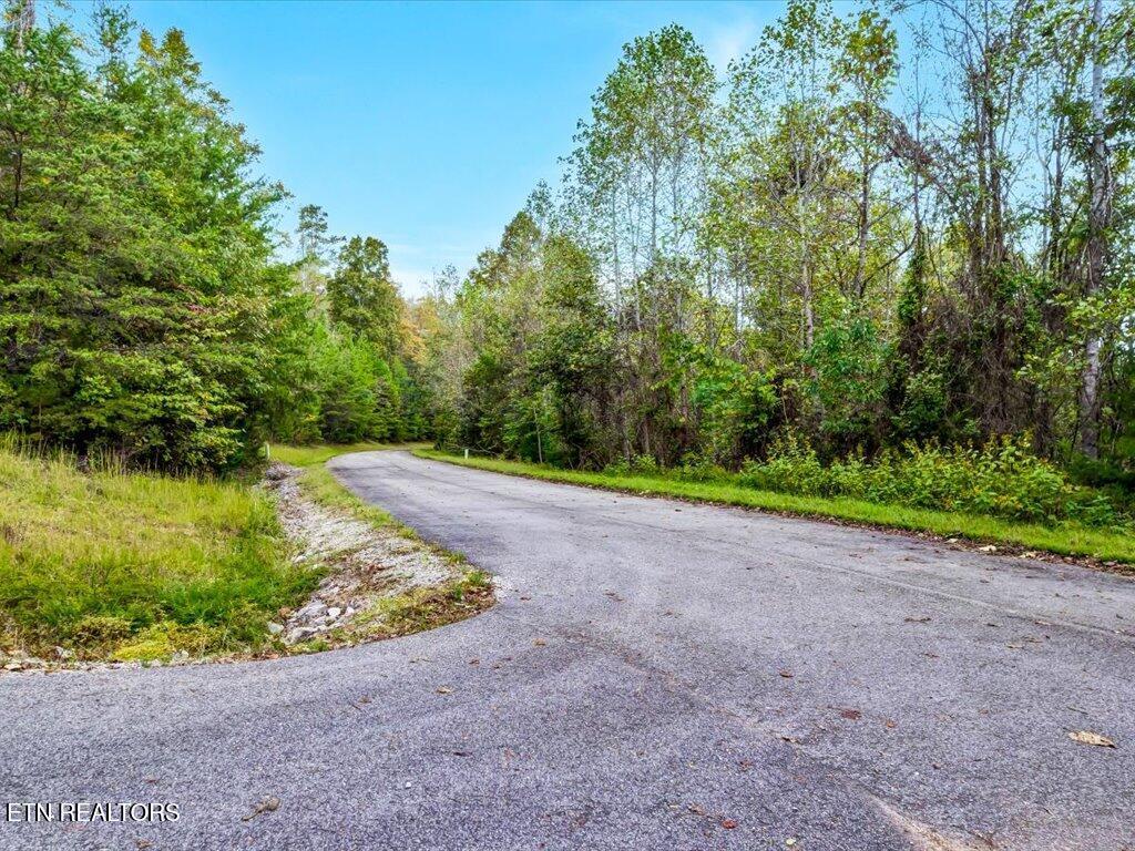 Lot 410 Mystic Star Drive, New Tazewell, TN - Norris Lake Real Estate - Image# 18