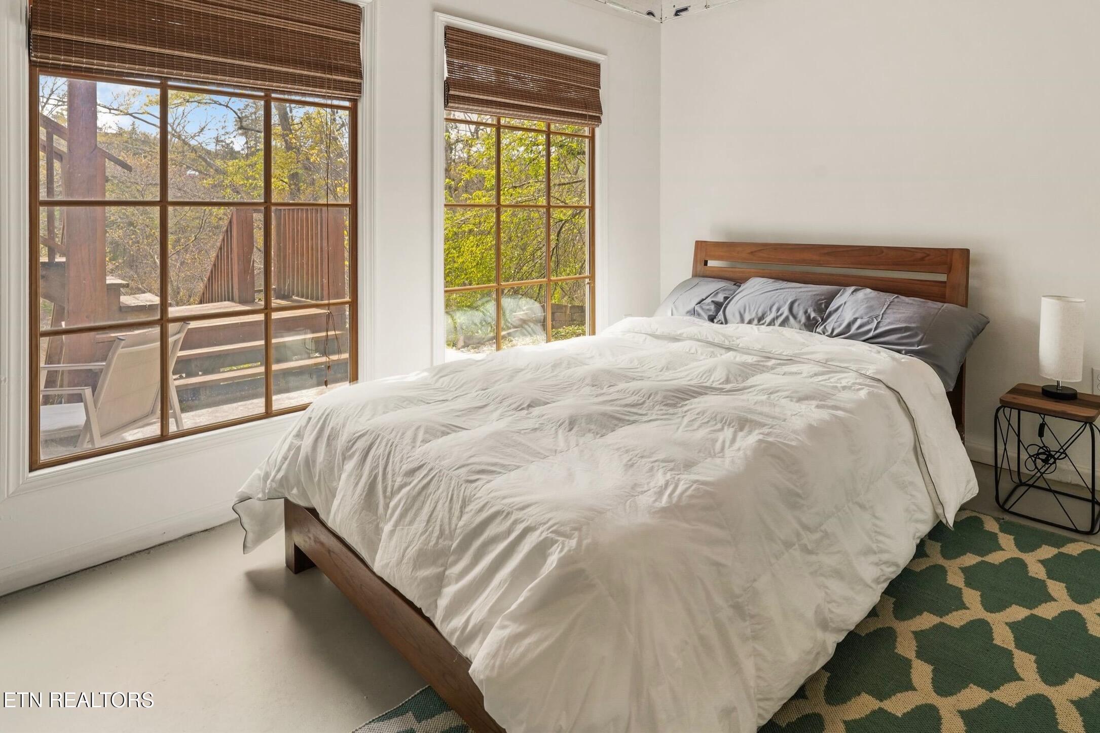 Norris Lake Real Estate - Image# 28