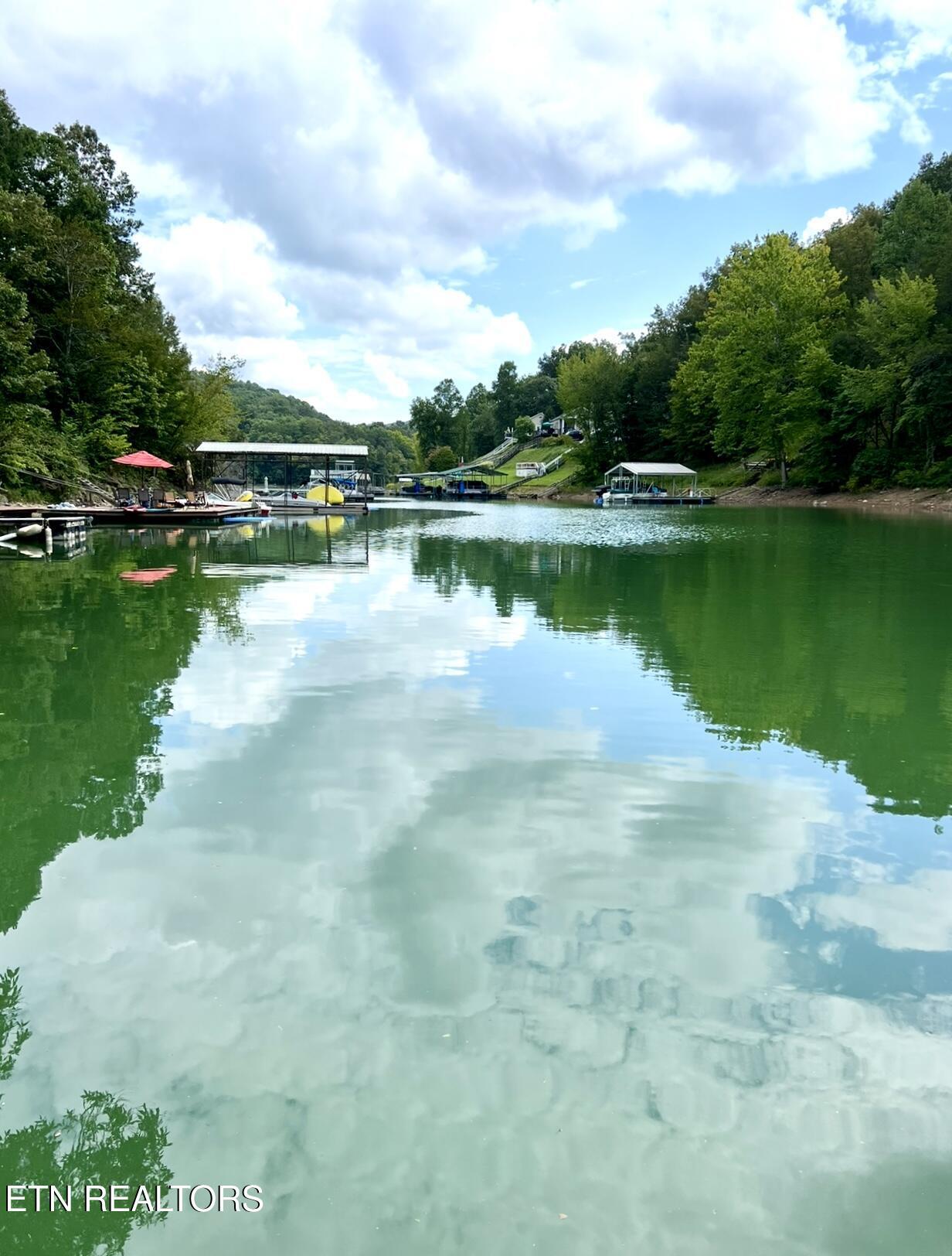 Norris Lake Real Estate - Image# 45