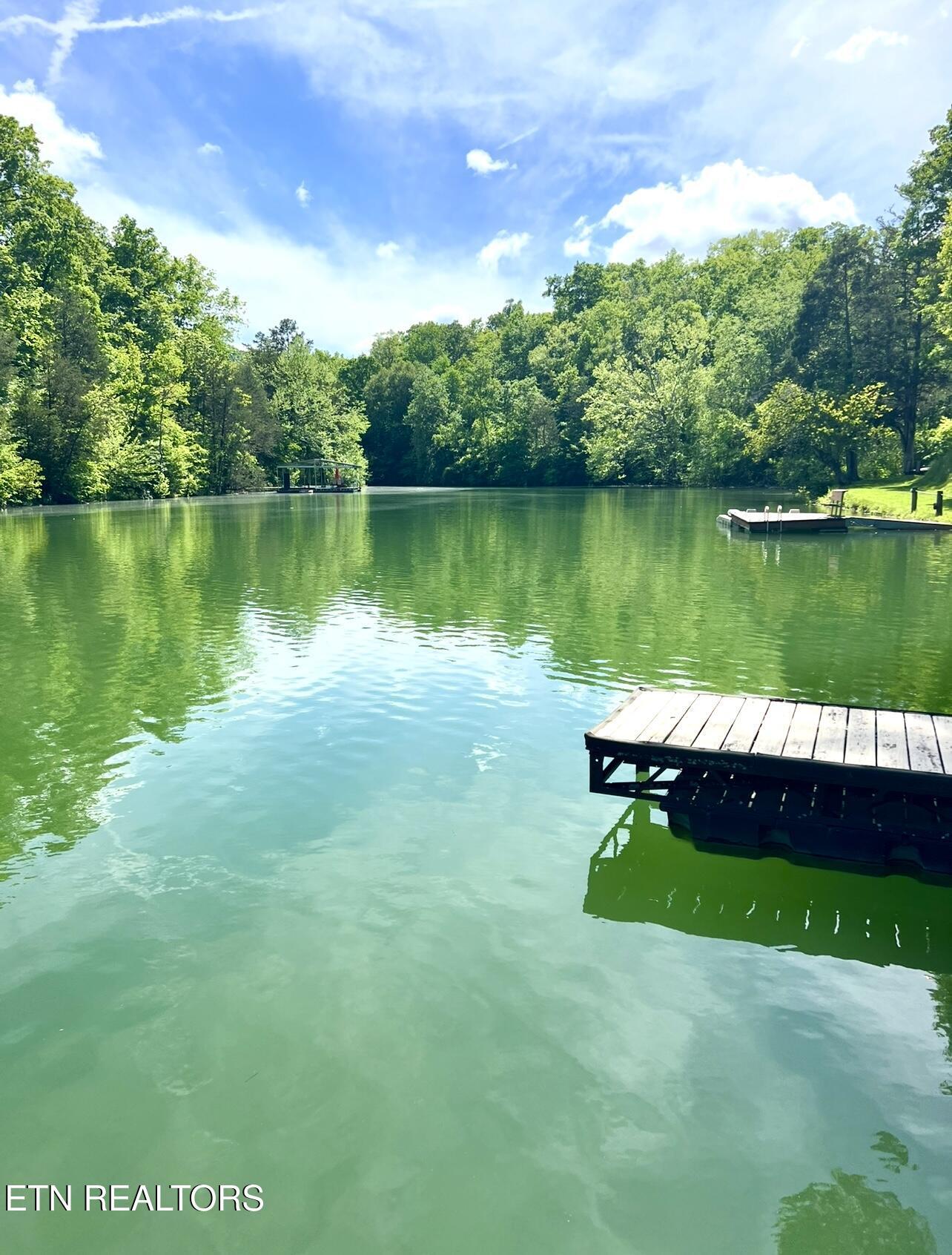 Norris Lake Real Estate - Image# 48