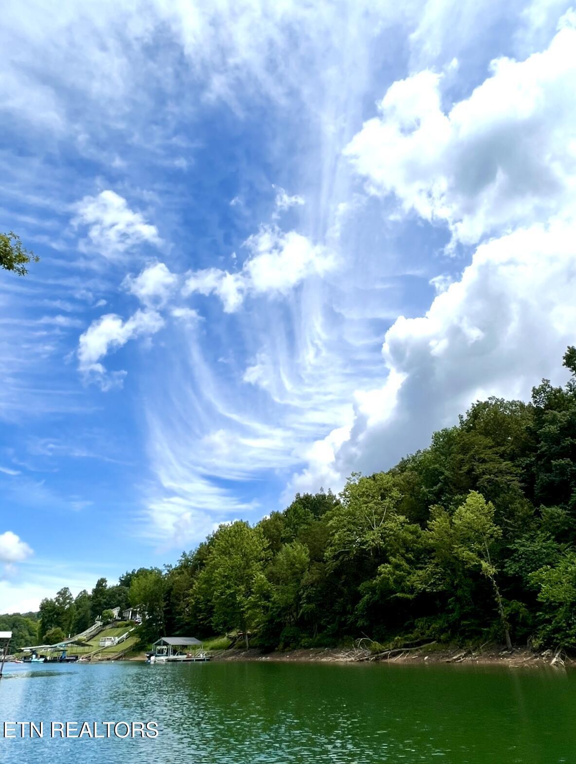 Norris Lake Real Estate - Image# 47