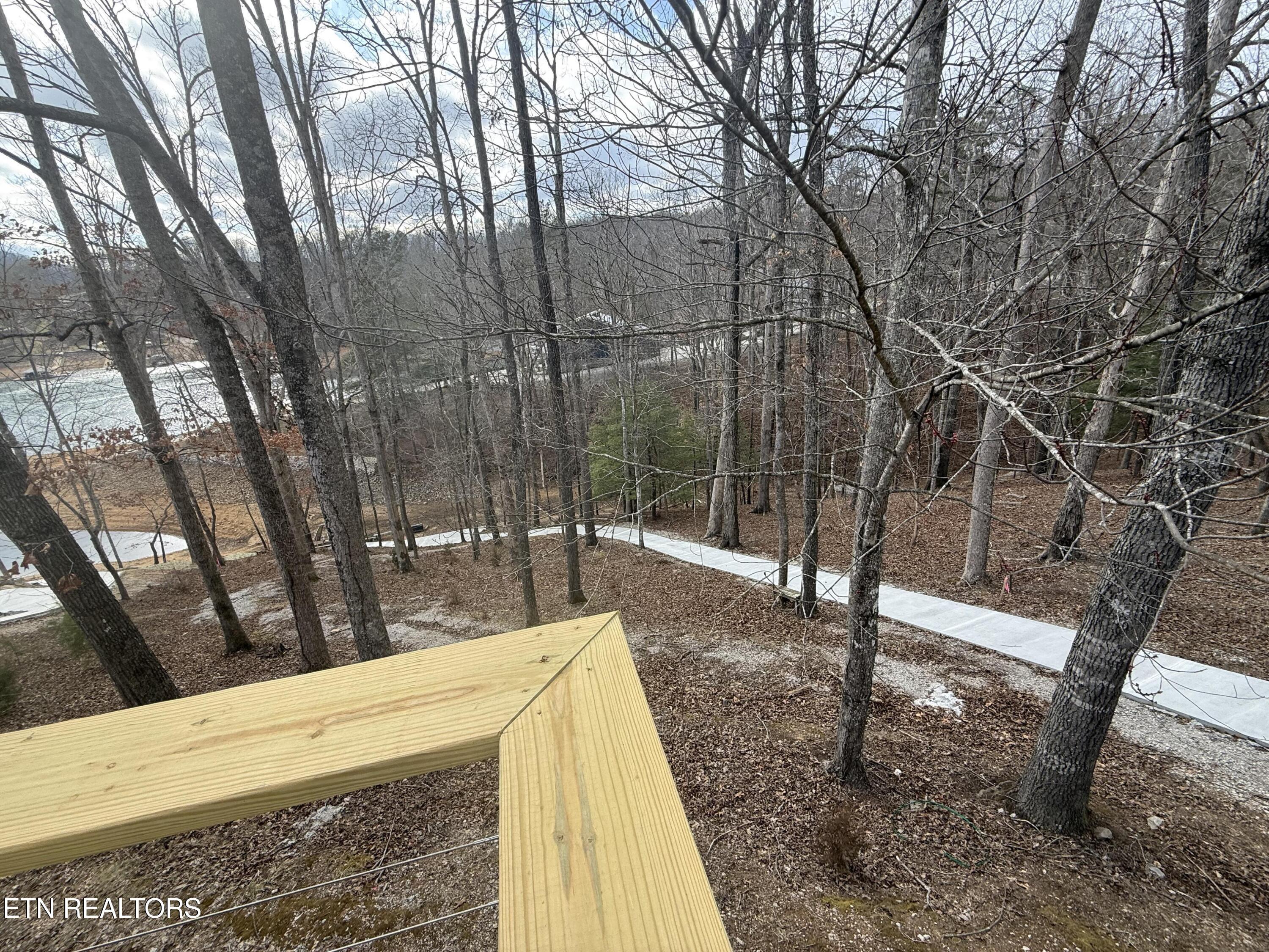 222 Big Creek Lane, Lafollette, TN - Norris Lake Real Estate - Image# 21