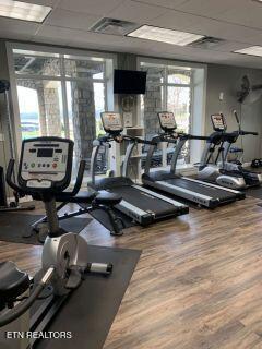 475 lot Shainas Place, Sharps Chapel, TN - Norris Lake Real Estate - Image# 15